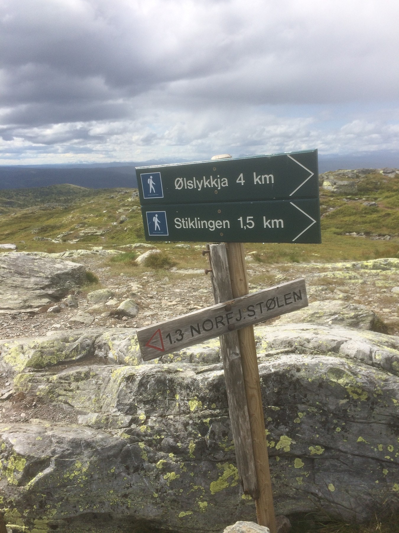 Turstier er godt skiltet Galleribilde