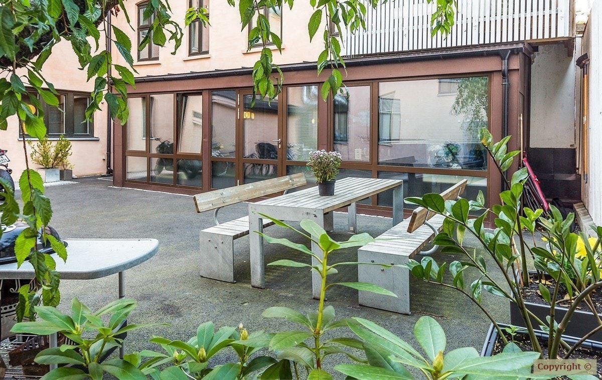 Herlig og skjermet bakgård. Galleribilde