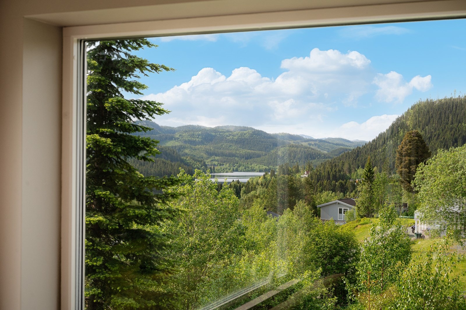 Utsikt over skogkledde åser Galleribilde