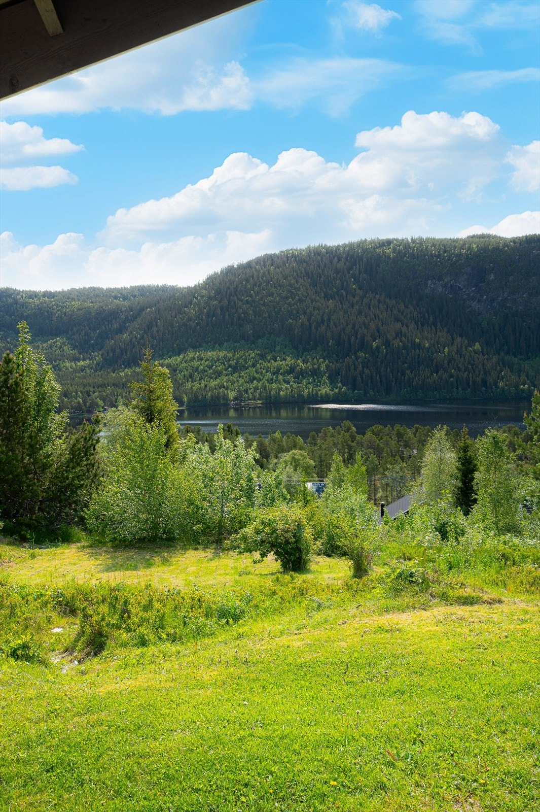 Utsikt Galleribilde