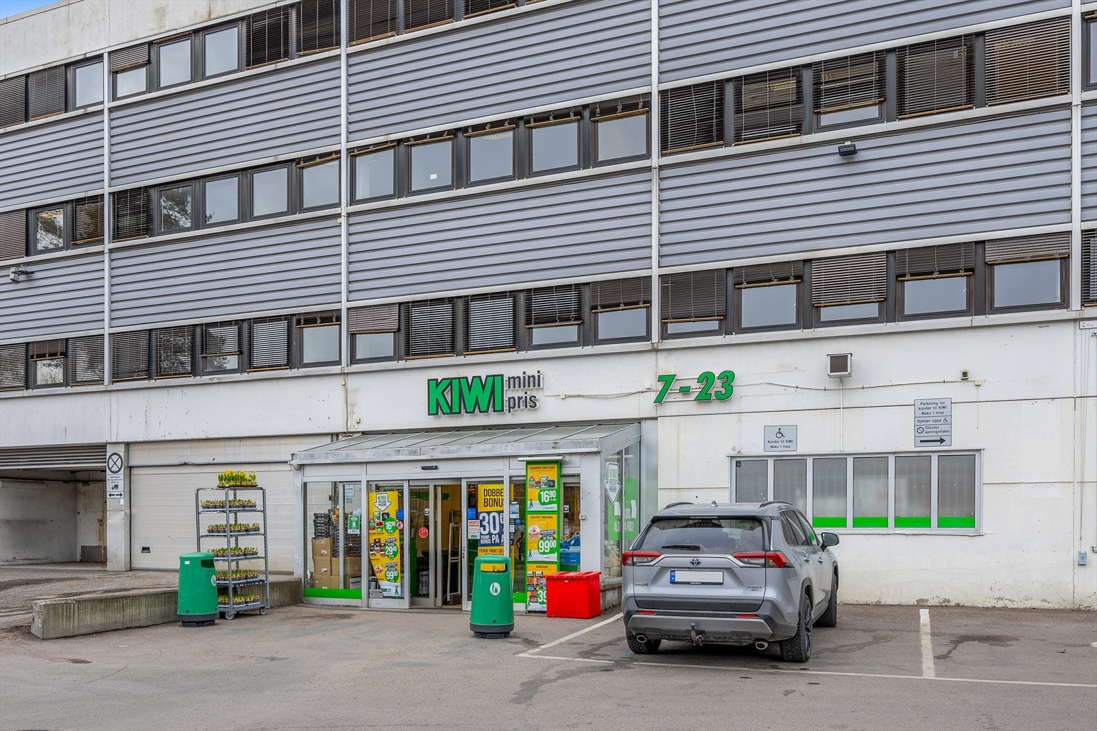 Kiwi i nærområdet Galleribilde