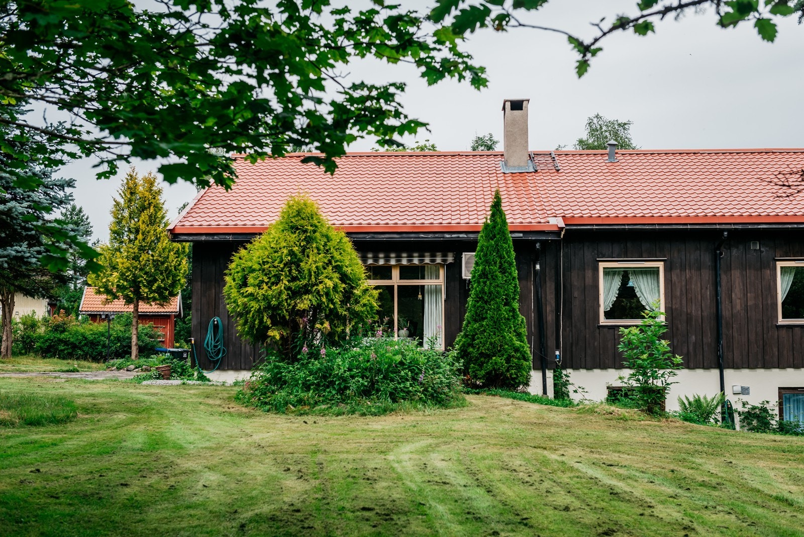Vinduer rundt hele huset ut mot hagen Galleribilde