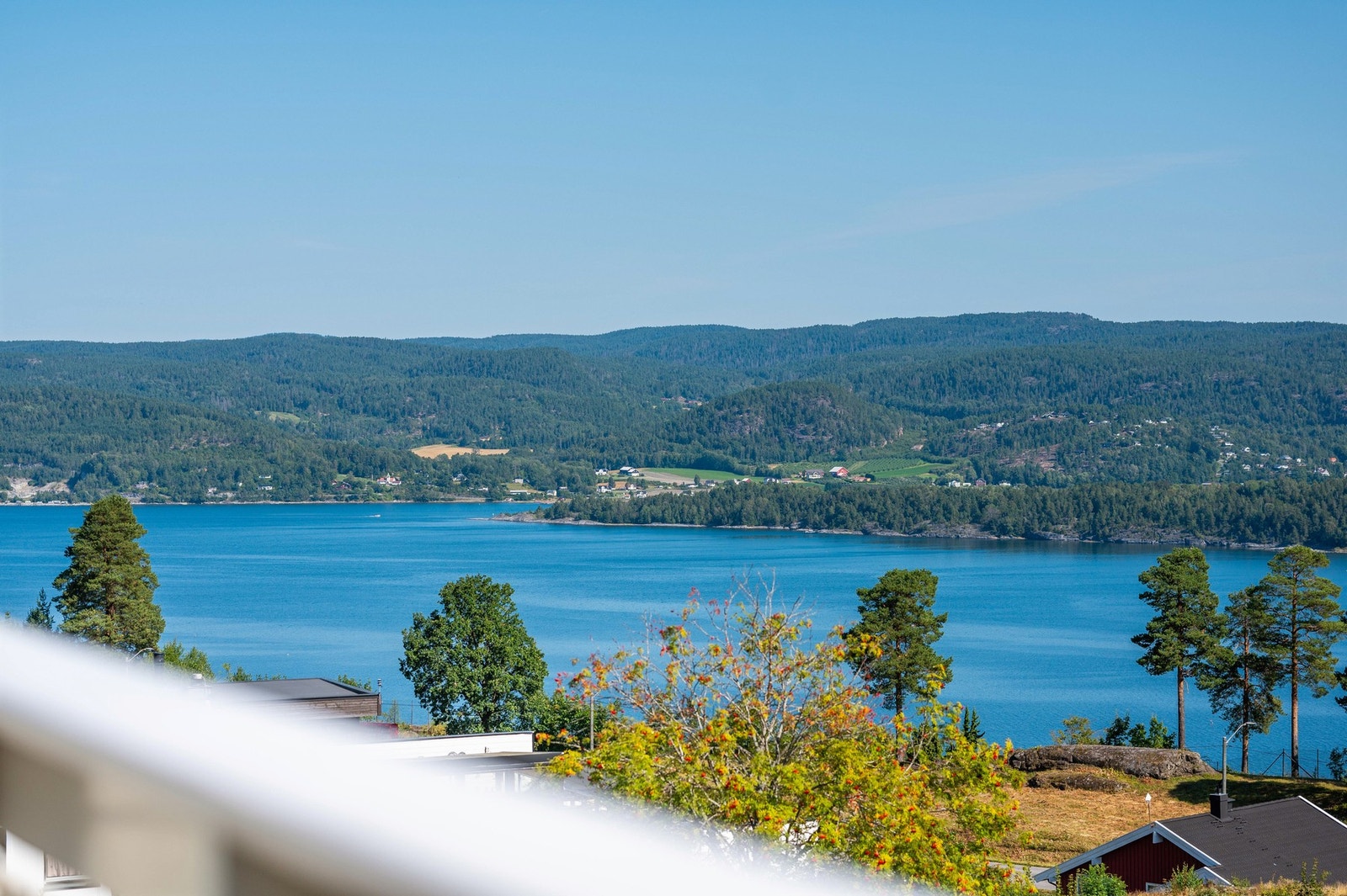 Her er det bare å ønske seg kikkert! Galleribilde