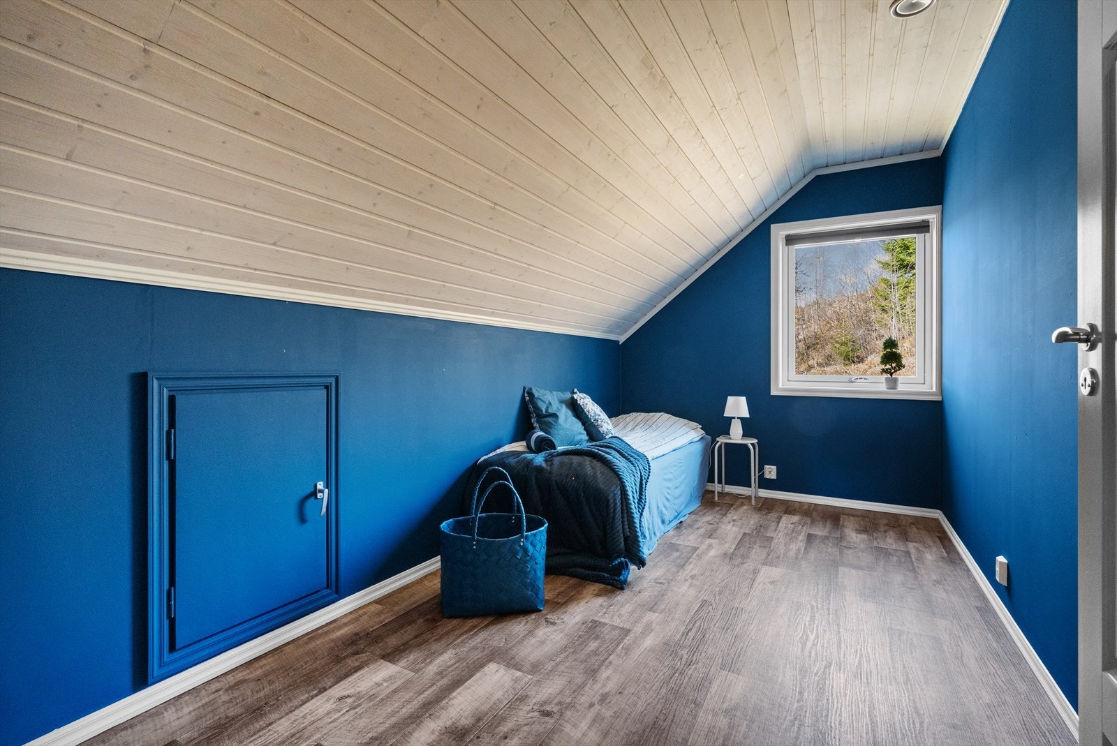 - Soverom 3 - Ekstra lagringsplass på kneloft - Galleribilde