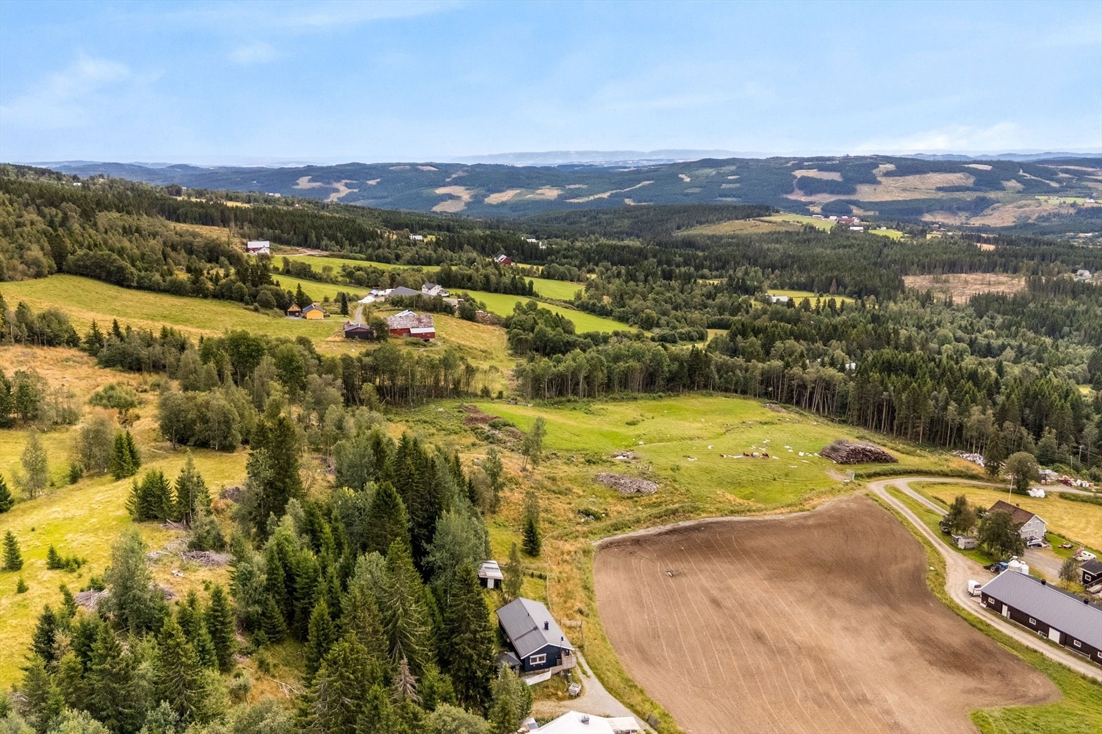 Dronebilde. Galleribilde