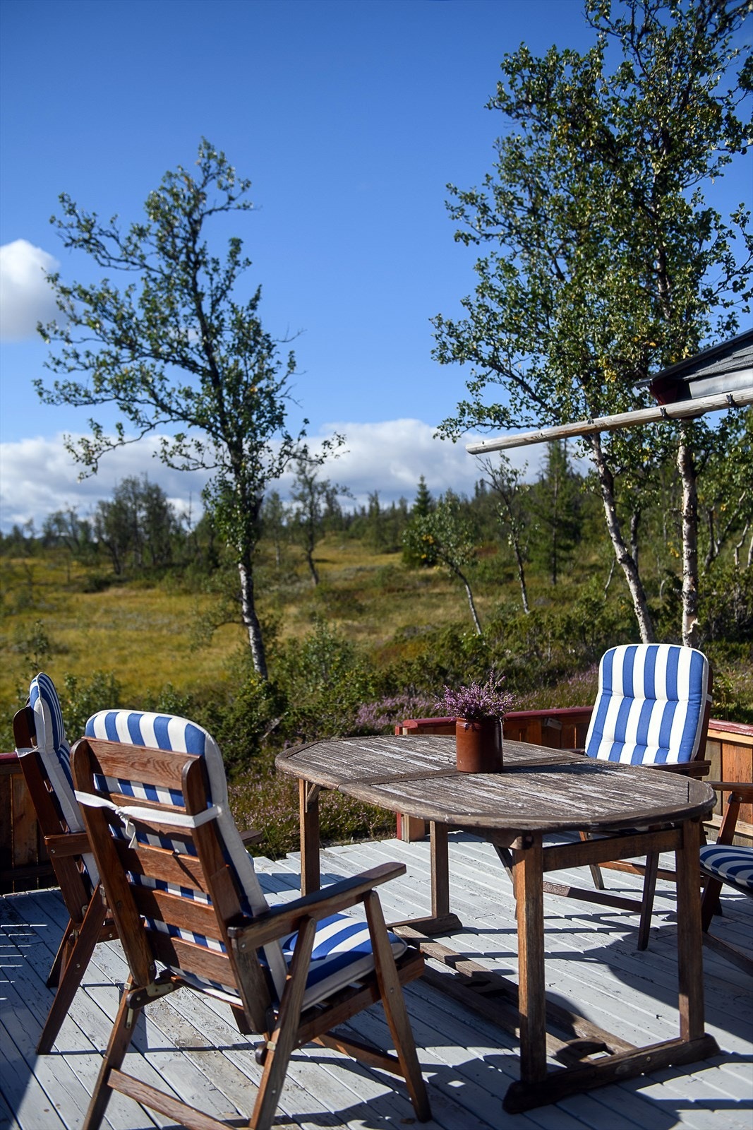 Solrik terrasse med utsikt over frodig natur. Galleribilde