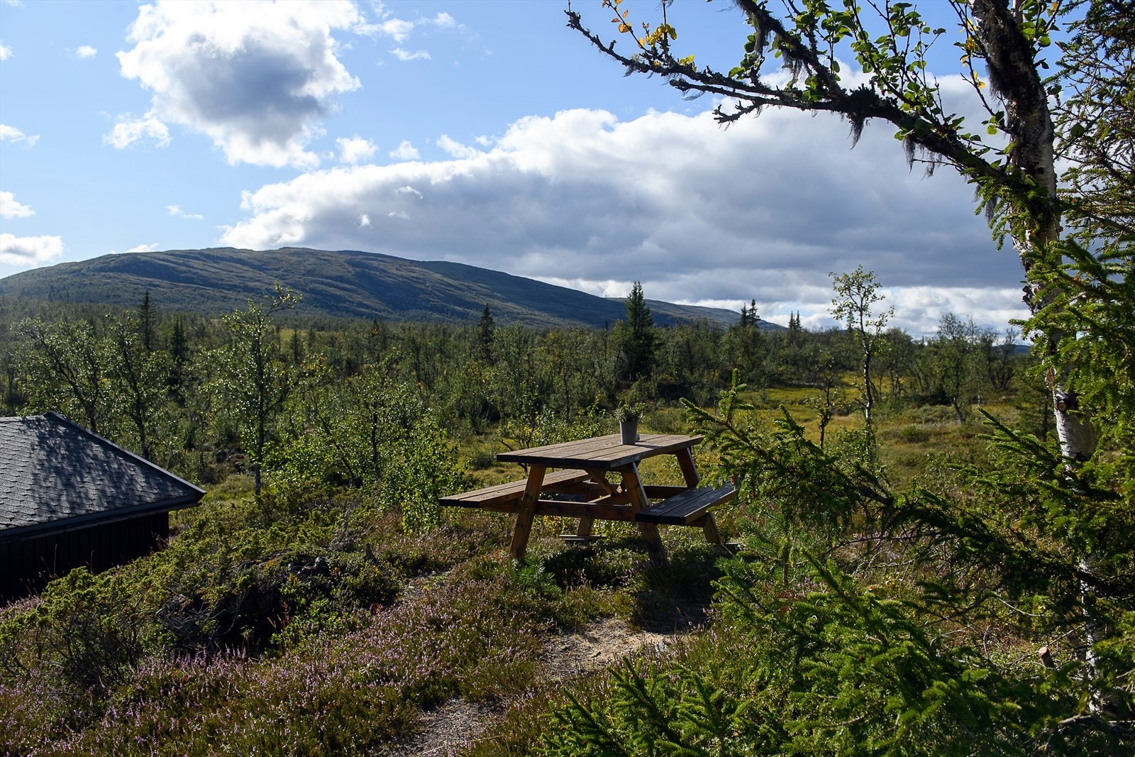 Nyt den vakre utsikten i fredelige og grønne omgivelser. Galleribilde