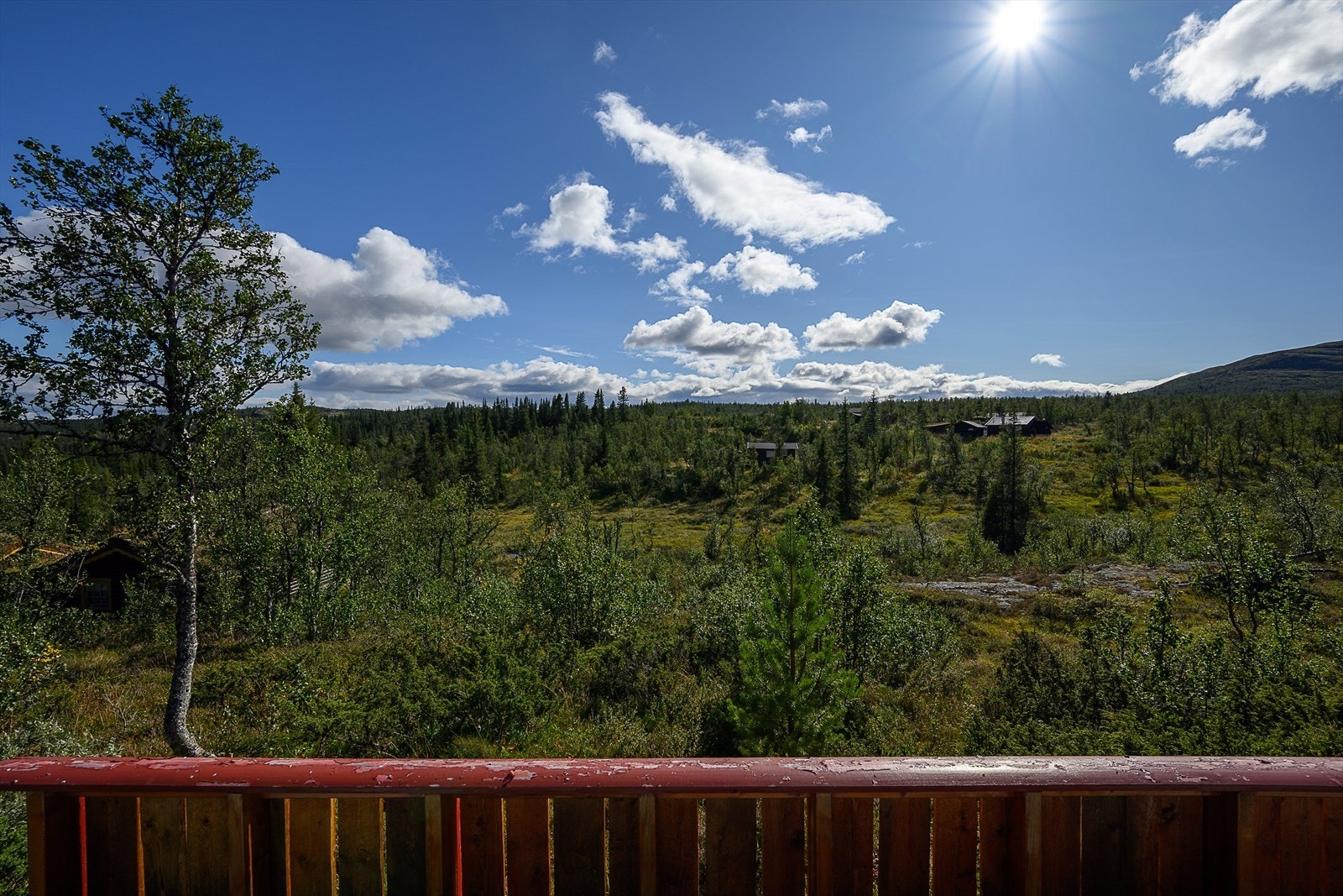 Utsikten fra terrassen. Galleribilde