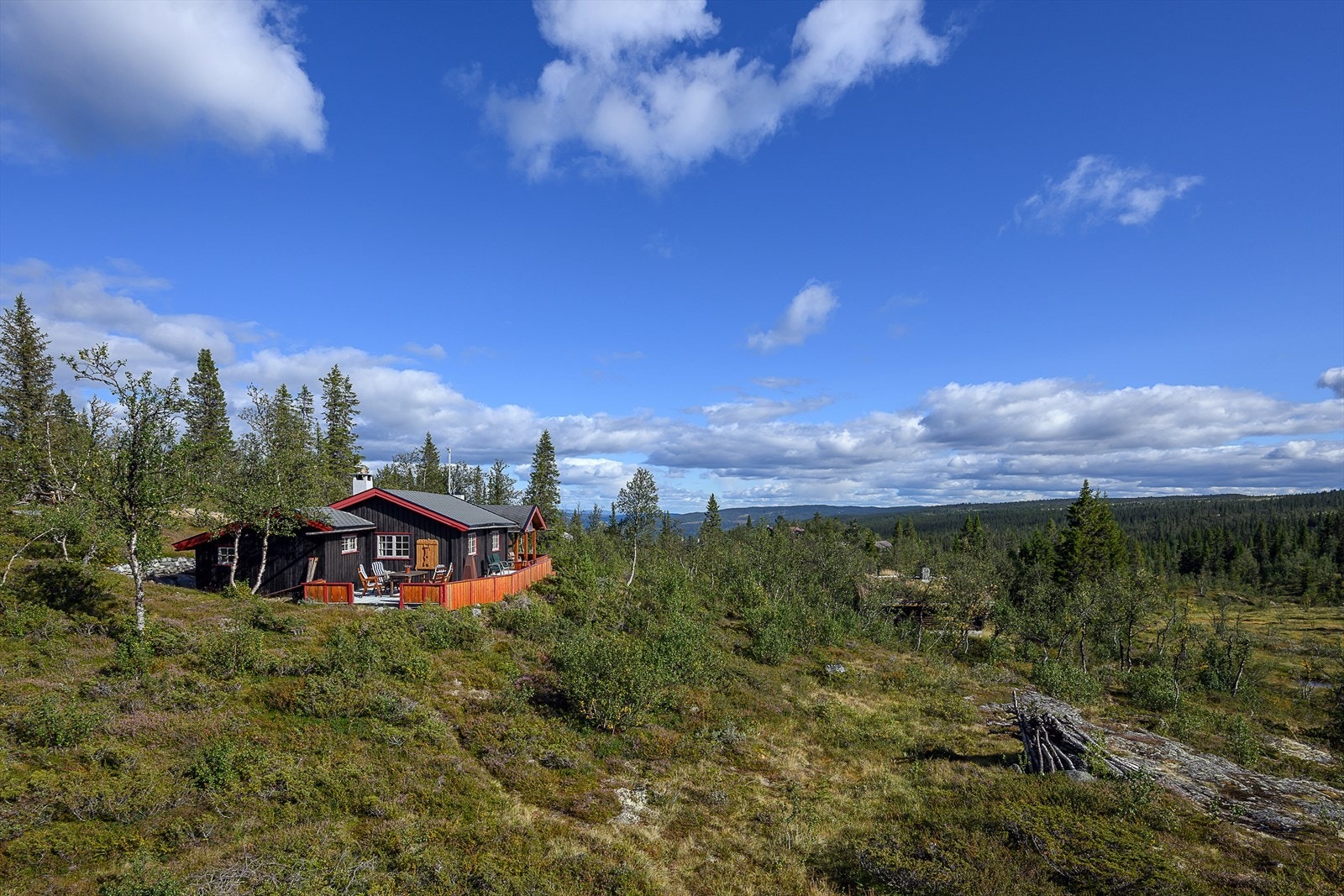 Hytta er et perfekt utgangspunkt for friluftsliv og ro i Espedalen. Galleribilde