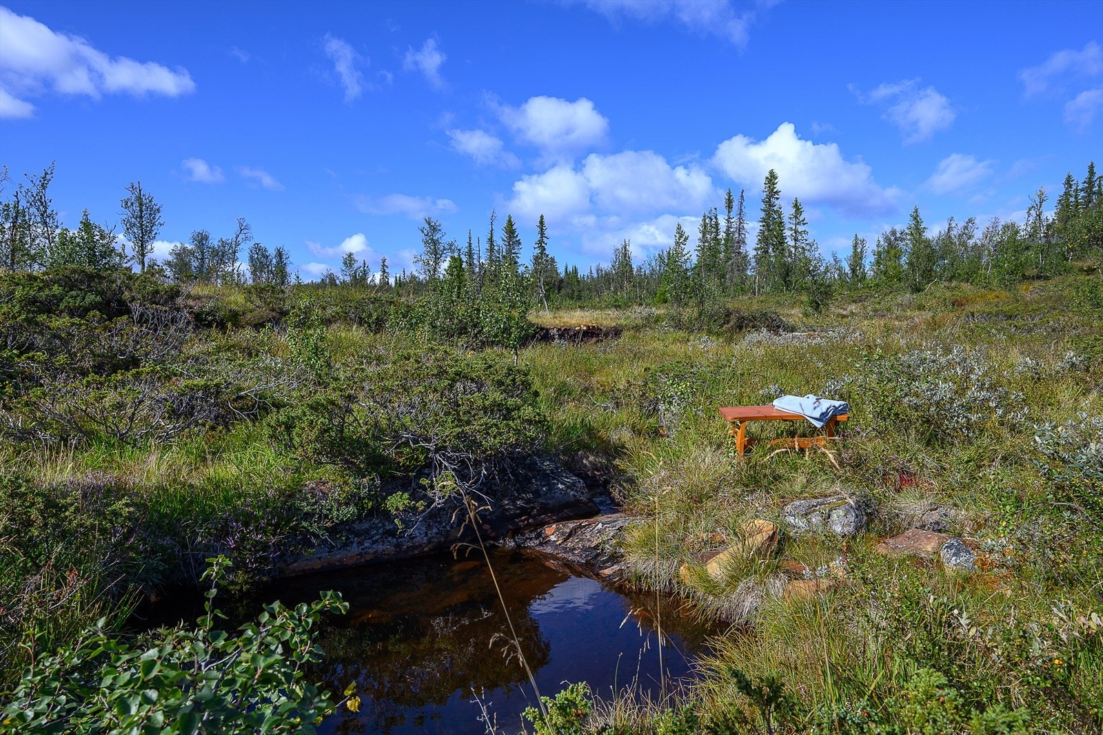 Det er en bekk og liten badekulp rett nord for hytta. Galleribilde