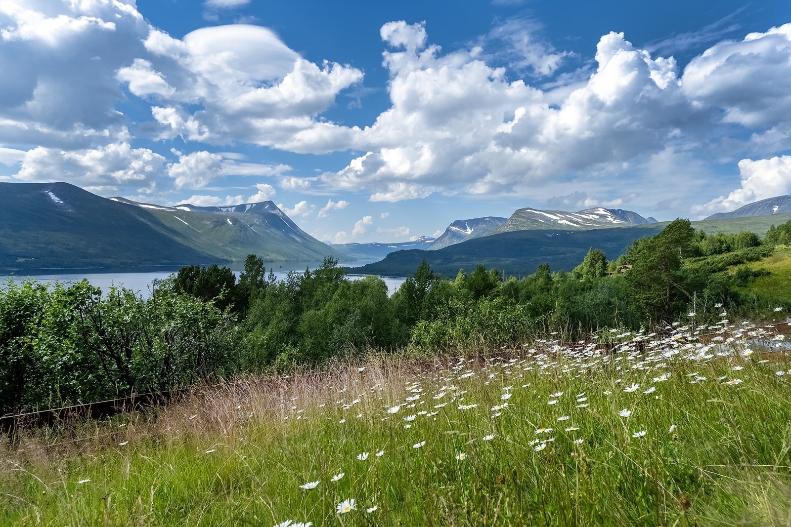 Velkommen til visning i Gjevillvassvegen 846! Galleribilde