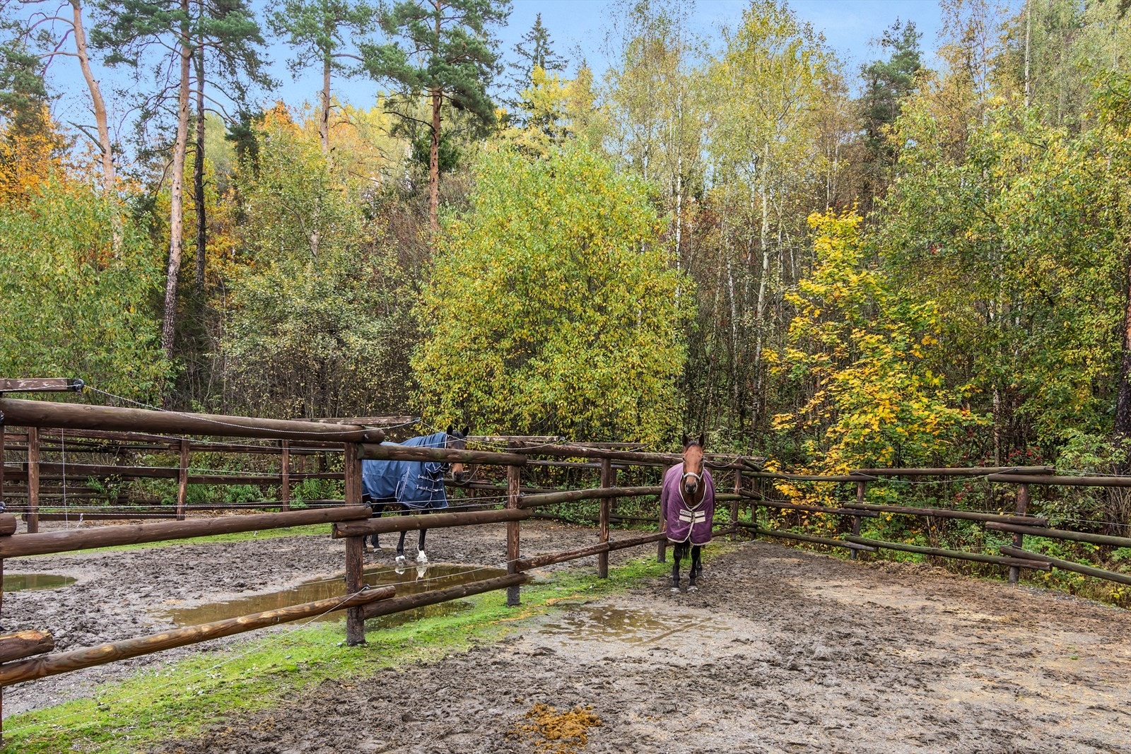 Velkommen til visning! Galleribilde
