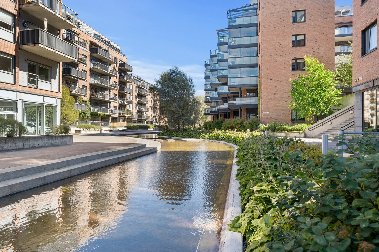 Flott vannspeil. Galleribilde