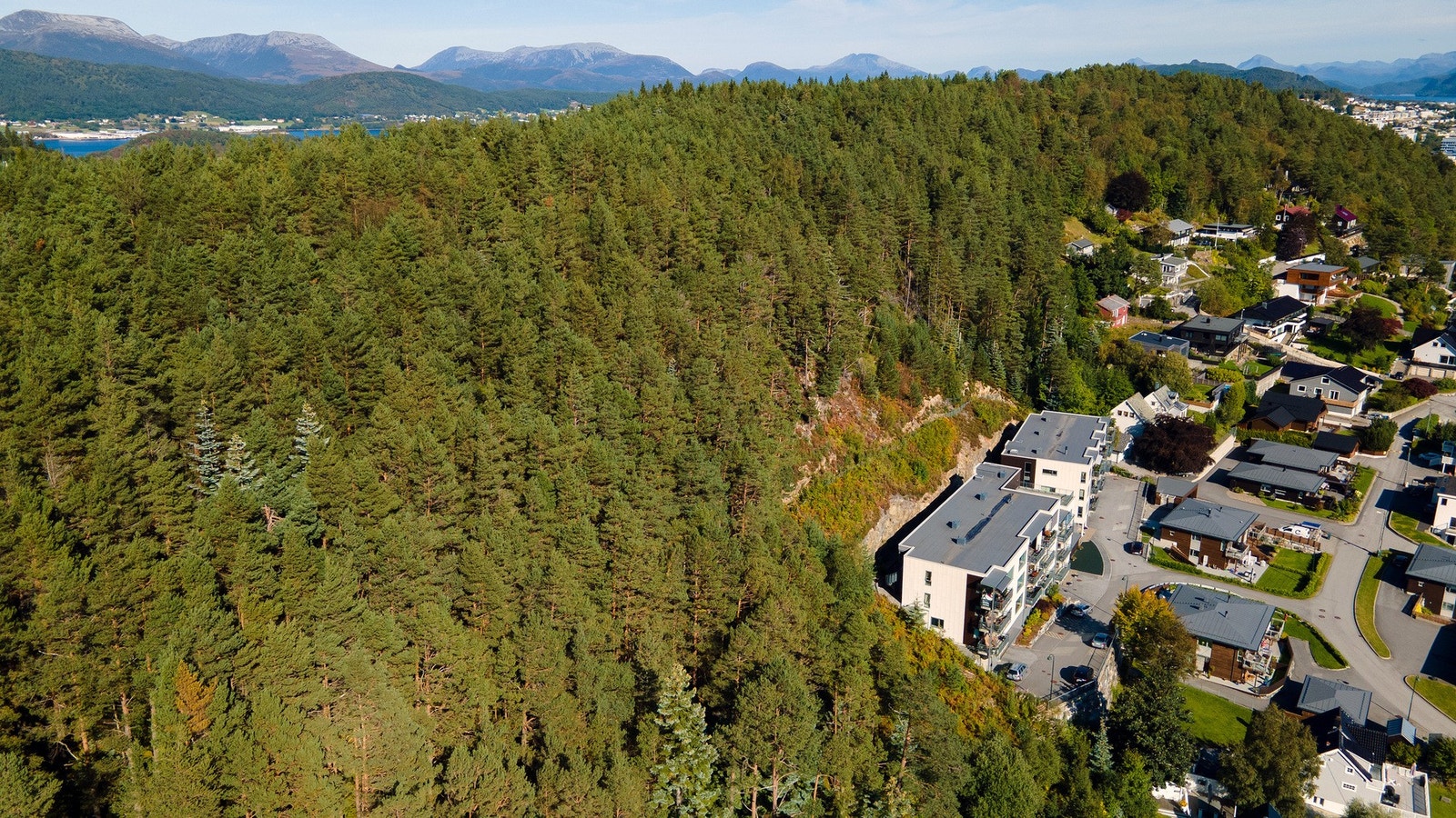 Deler av tomta ligger også på fjell. Galleribilde