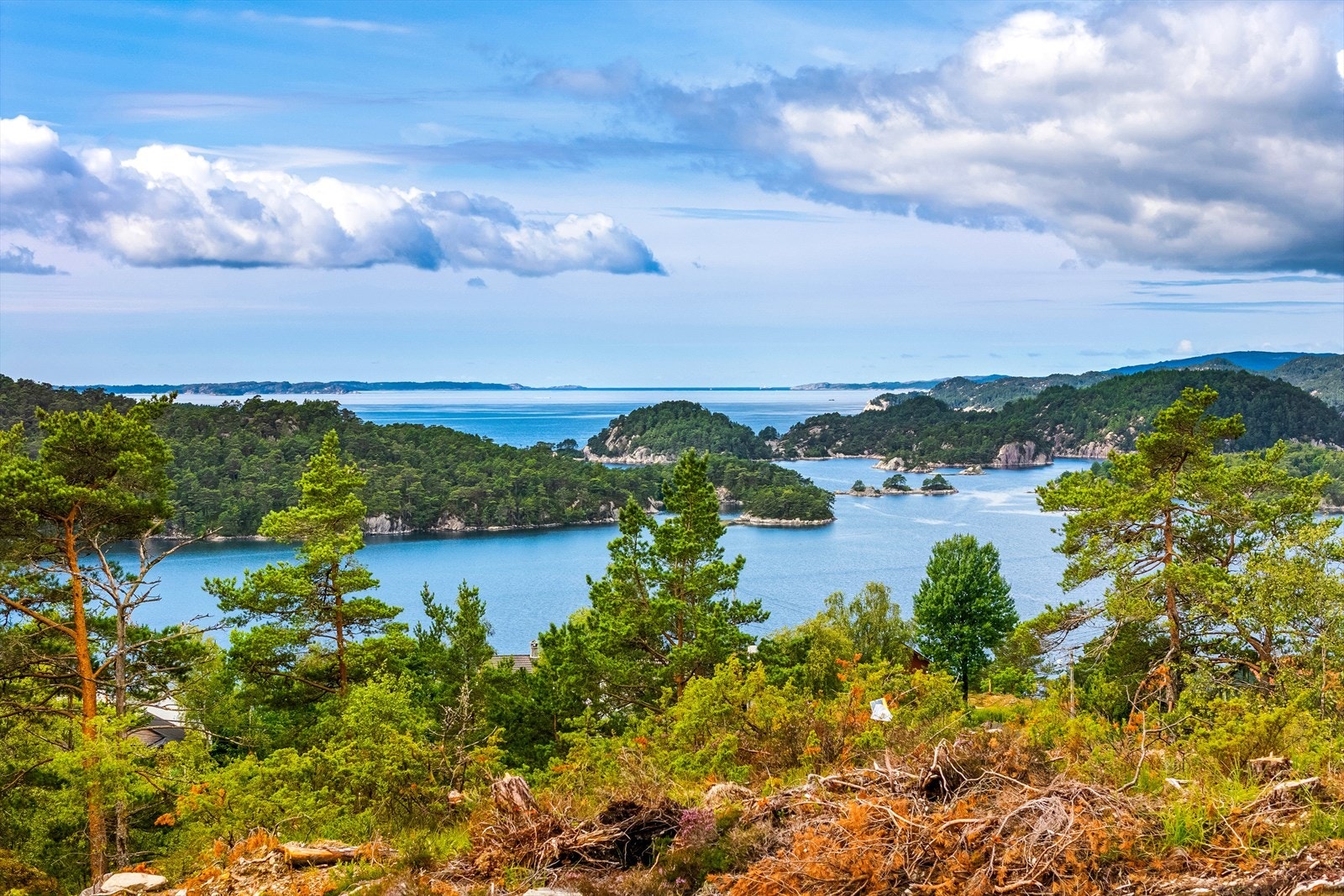 Nydelig sjøutsikt fra flere av tomtene! Galleribilde