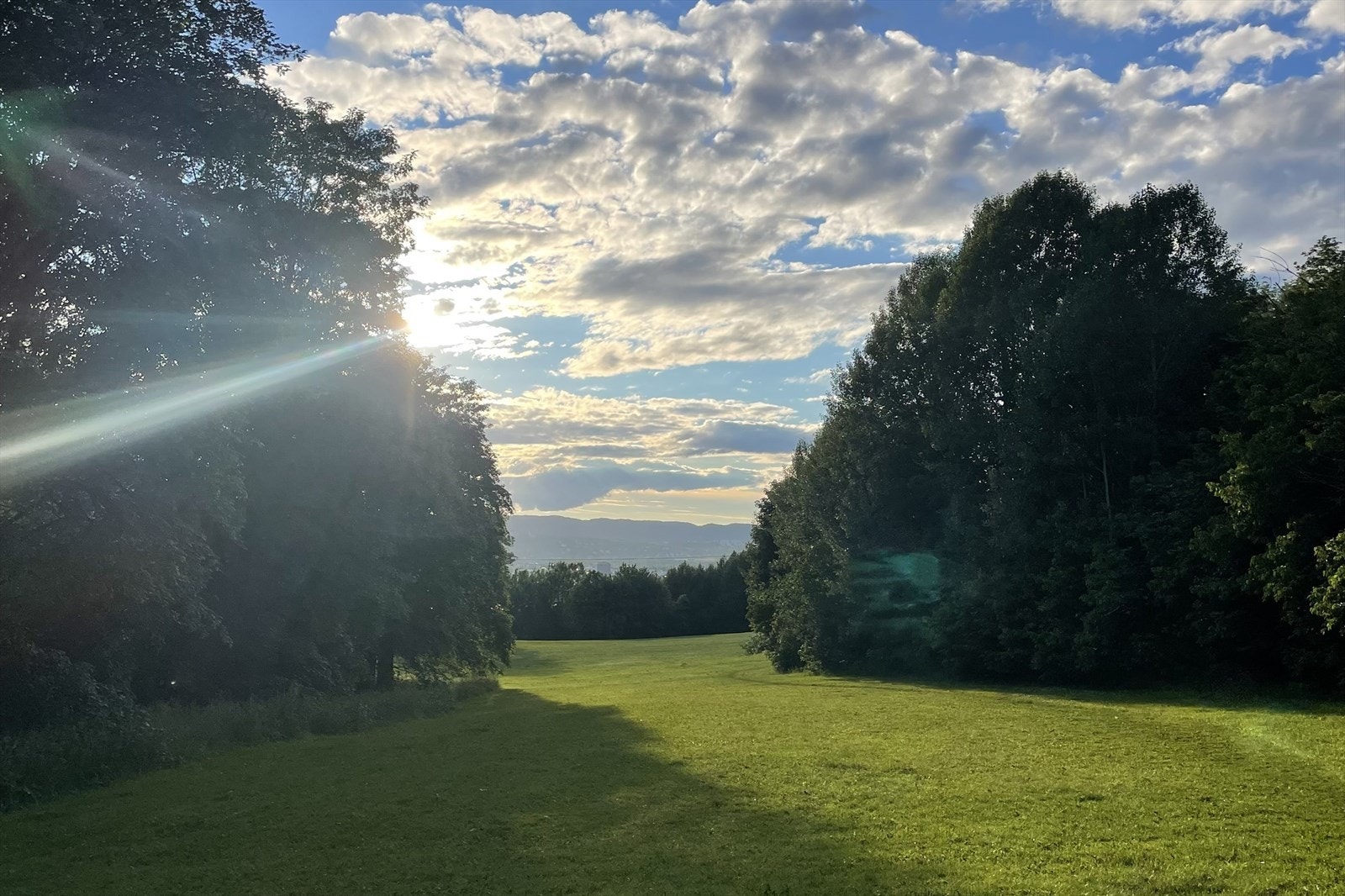 Ekeberg skogen er full av fine turstier med fantastisk utsikt over hele Oslo Galleribilde