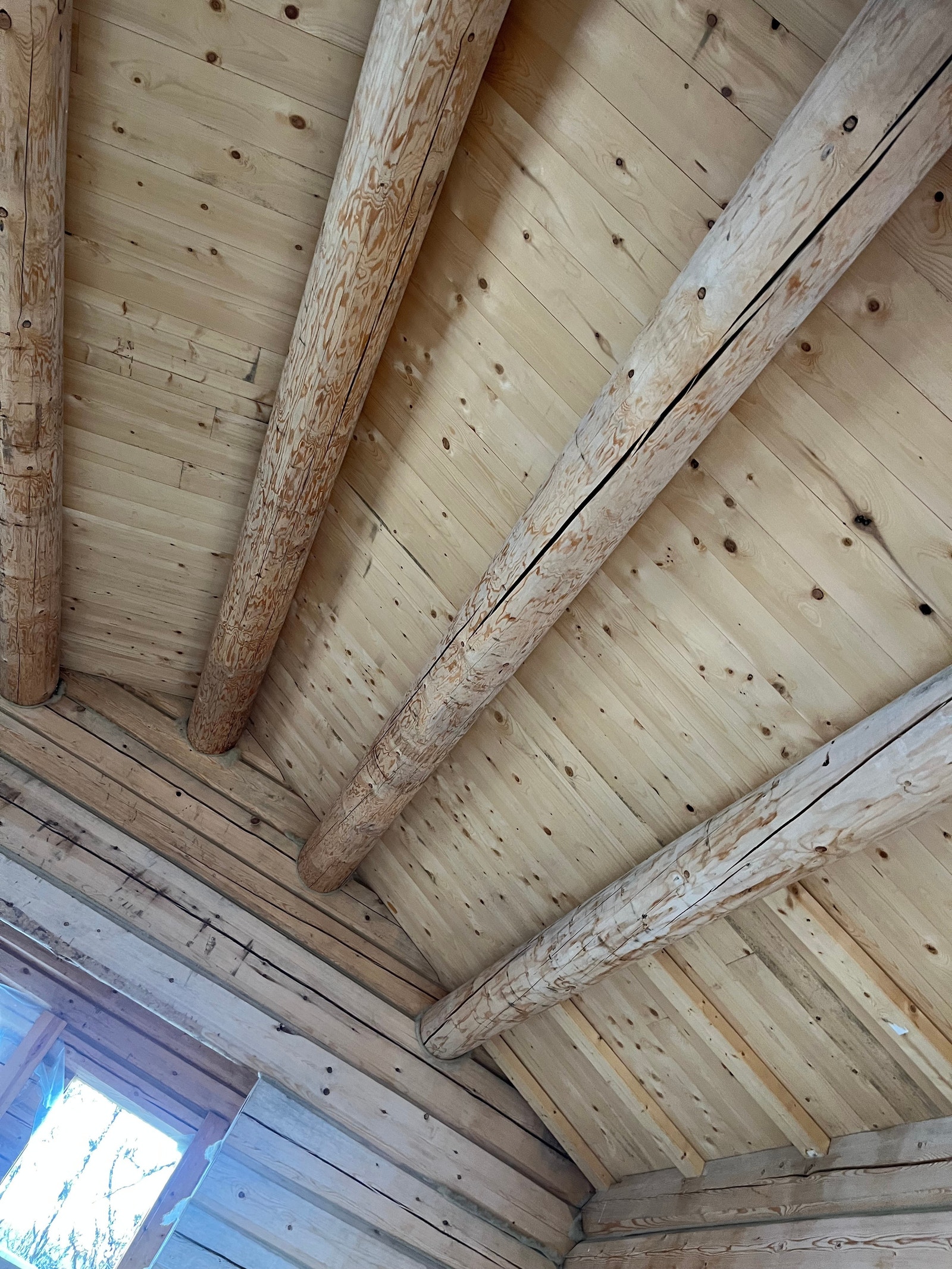 Takåser Galleribilde