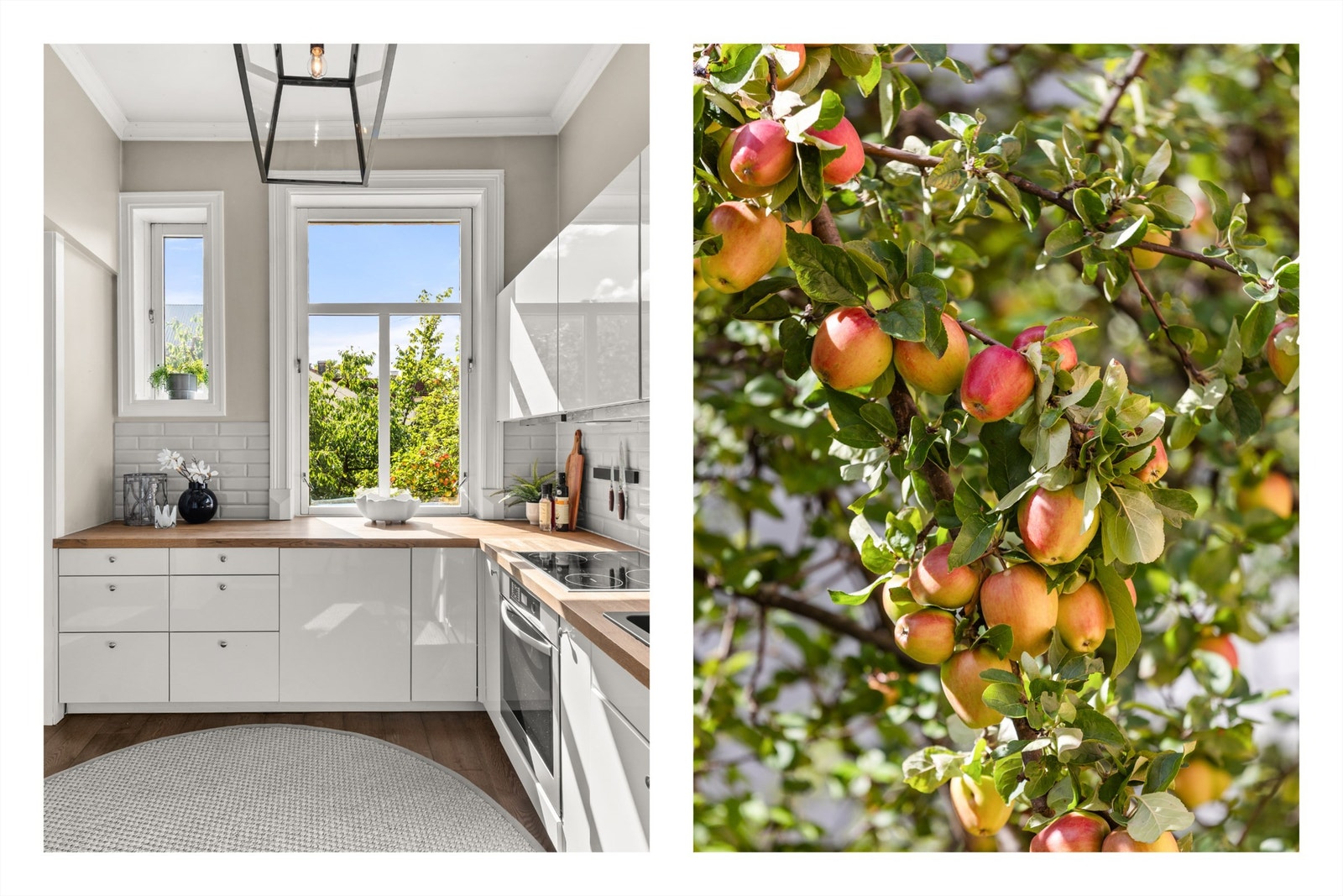 Fra kjøkkenvinduet har man utsikt mot hyggelig bakgård. Galleribilde