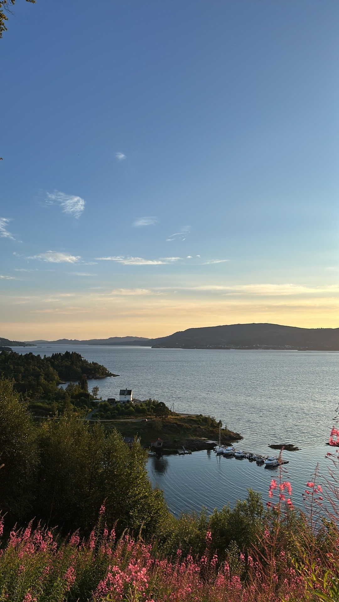 Kveldsol i båthavnen Galleribilde