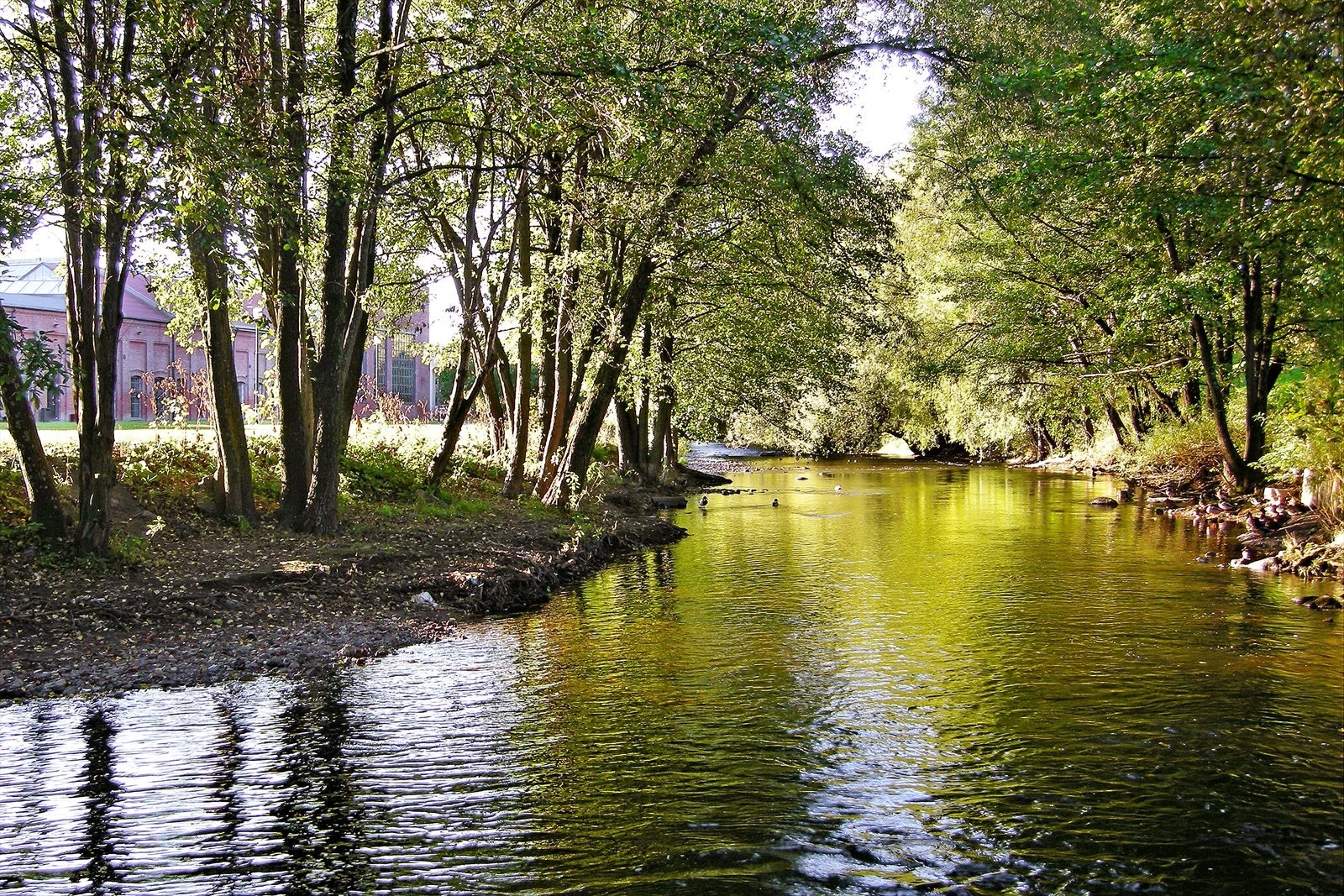 Flere flotte turstier ved Akerselva - kun noen minutters gange fra leiligheten Galleribilde
