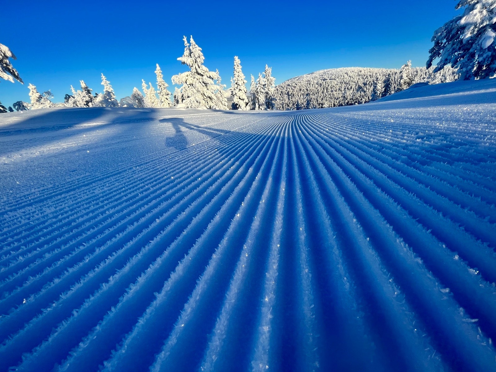Gnistrende forhold i snøsikre Renåfjellet. Foto: Grunneier Galleribilde