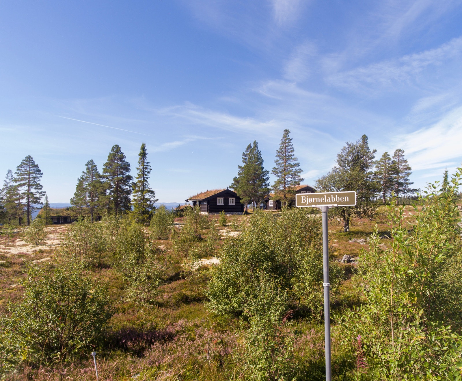 Det er ingen byggeklausul knyttet til tomtene, noe som betyr at du står fritt til å velge byggmester og hytteleverandør Galleribilde