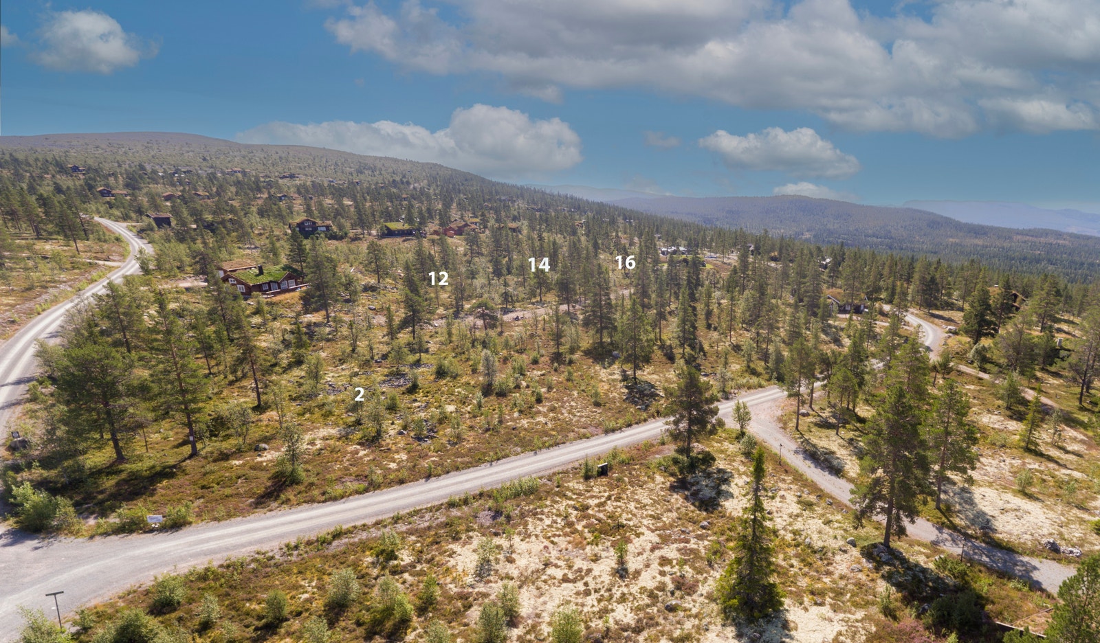 En av Renåfjellets største tomter, Bjørnelabben 2 er på hele 8,833 m² De andre tre i bildet er rett under 2000 kvm. Galleribilde