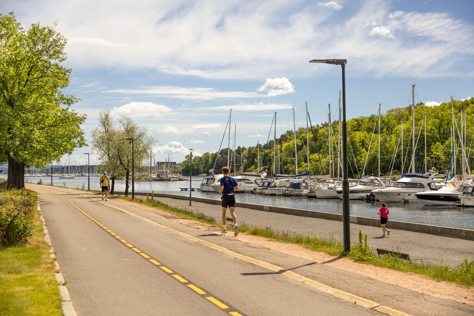 Rett ved leiligheten har man enkel tilkomst til Frognerkilen for flotte turmuligheter. Galleribilde