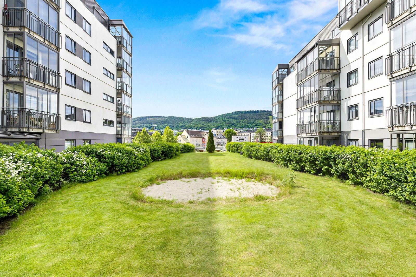 Felles hage med gressplen og sittegrupper Galleribilde