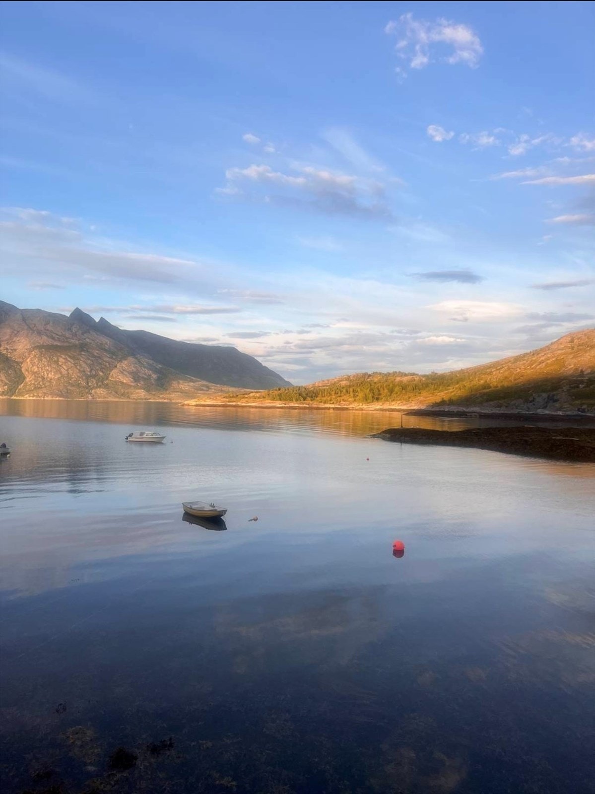 Selgers bilde. Galleribilde