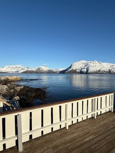 Selgers bilde. Galleribilde