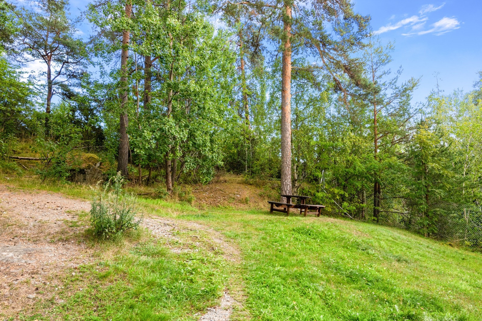 Fellesareal. Galleribilde