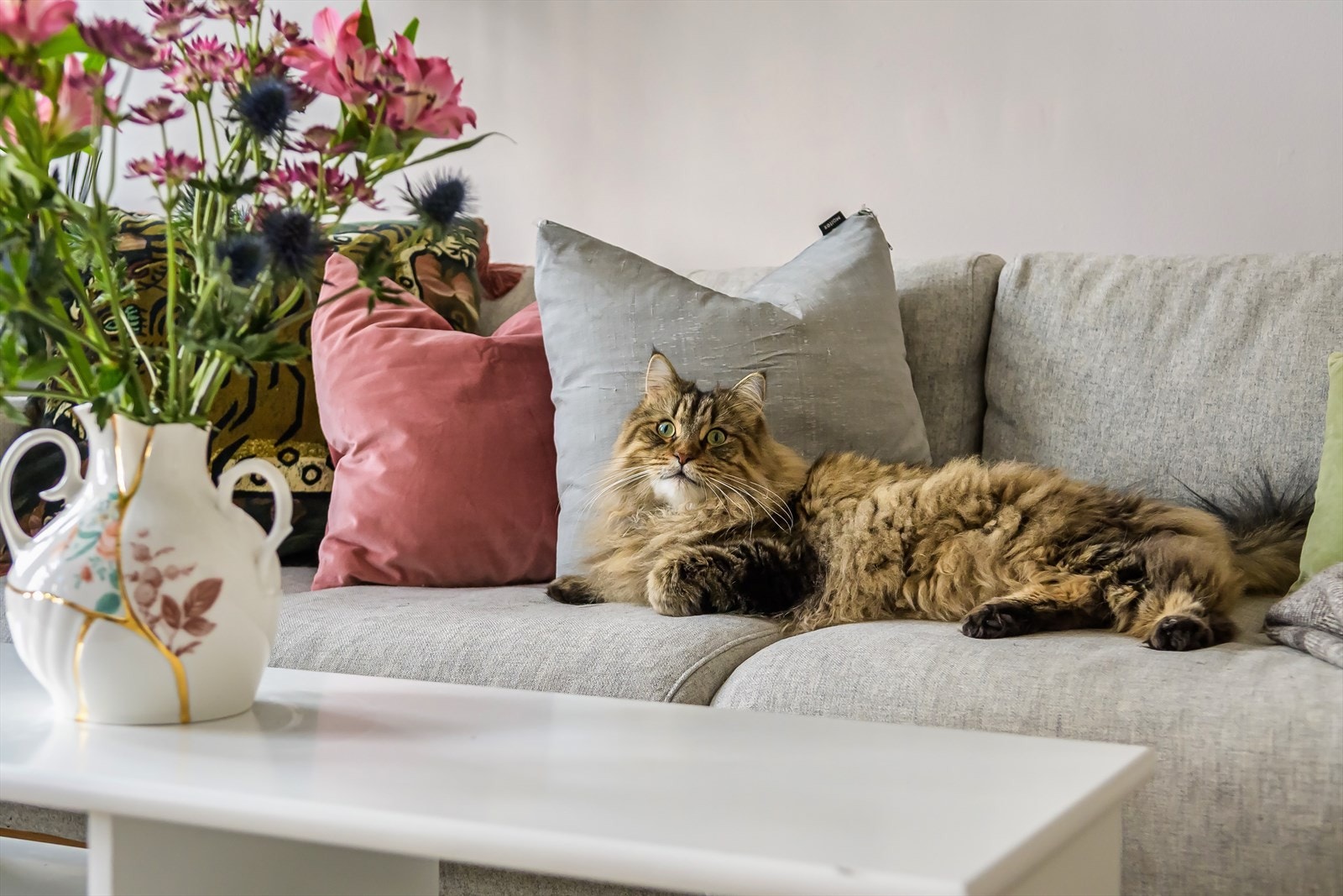 I denne leiligheten trives både to- og firebeinte. Galleribilde