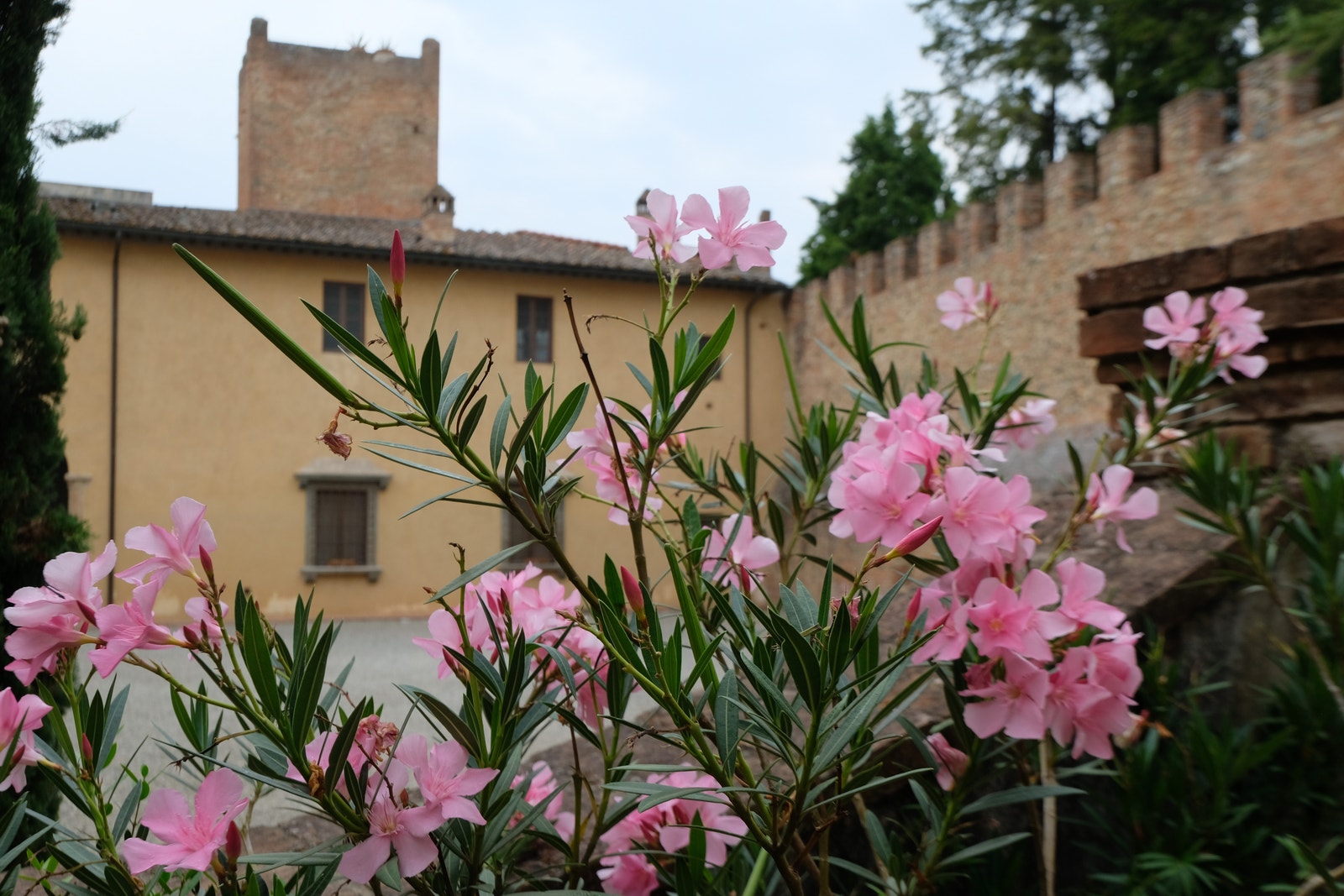Innvendig cortile, tun med porter ut til hovedgaten. Galleribilde