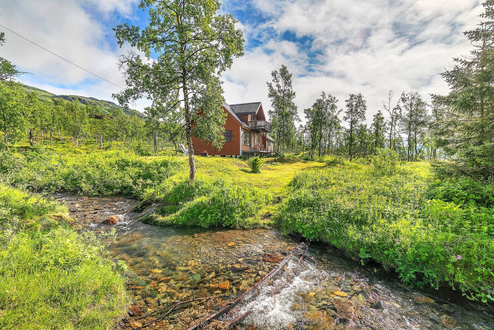 Det går slange til sommervannet fra fjellbekken Galleribilde