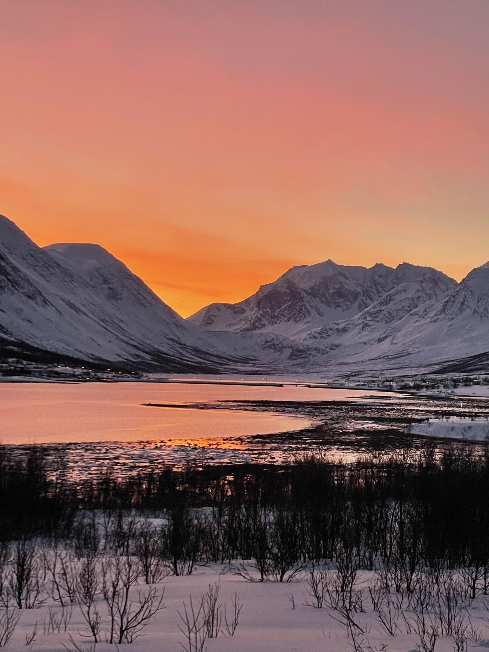 Lyngen har majestestisk landskap med breer og stupbratte fjellsider, som gjør Lyngen og Lyngsalpan til et populært turområde med varierte naturopplevelser.  Selgers private foto