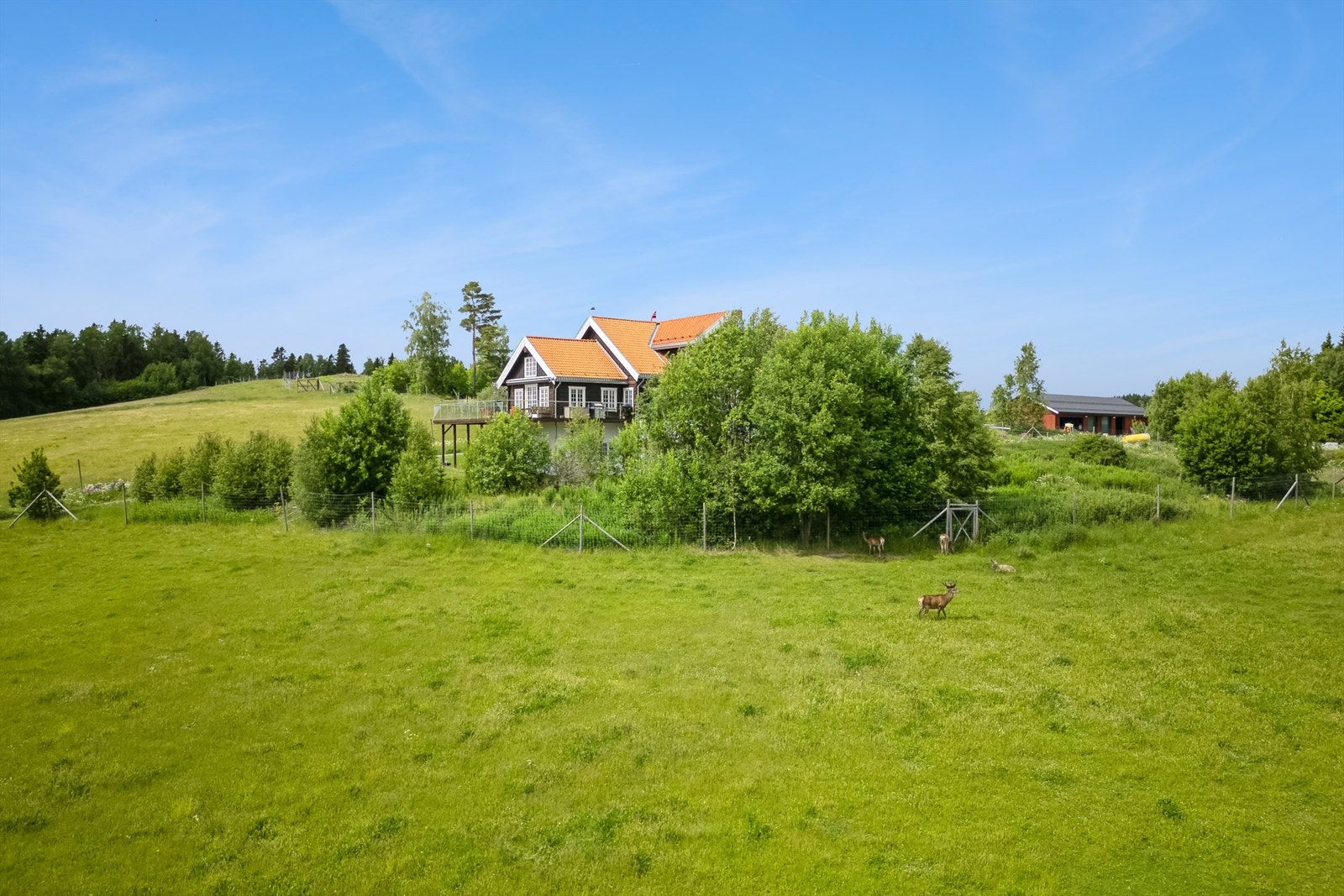 Gårdstunet er omgitt av dyrket mark og hjorteinnhengninger Galleribilde