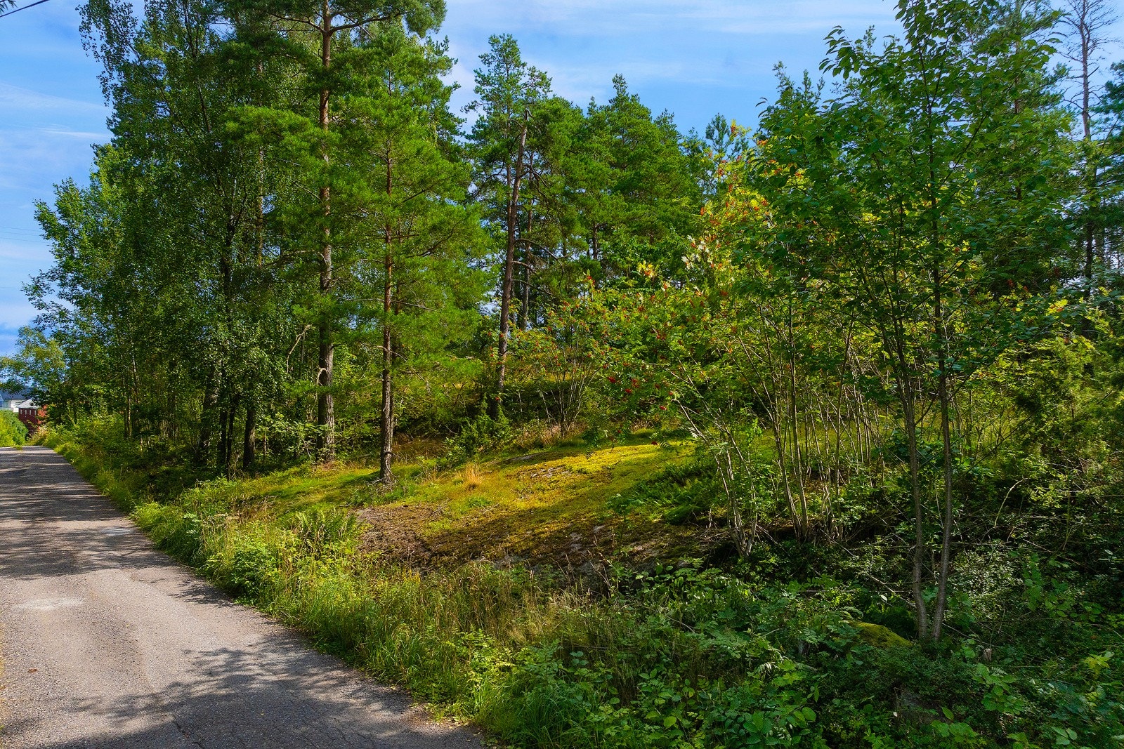 Ring megler angående spørsmål Galleribilde