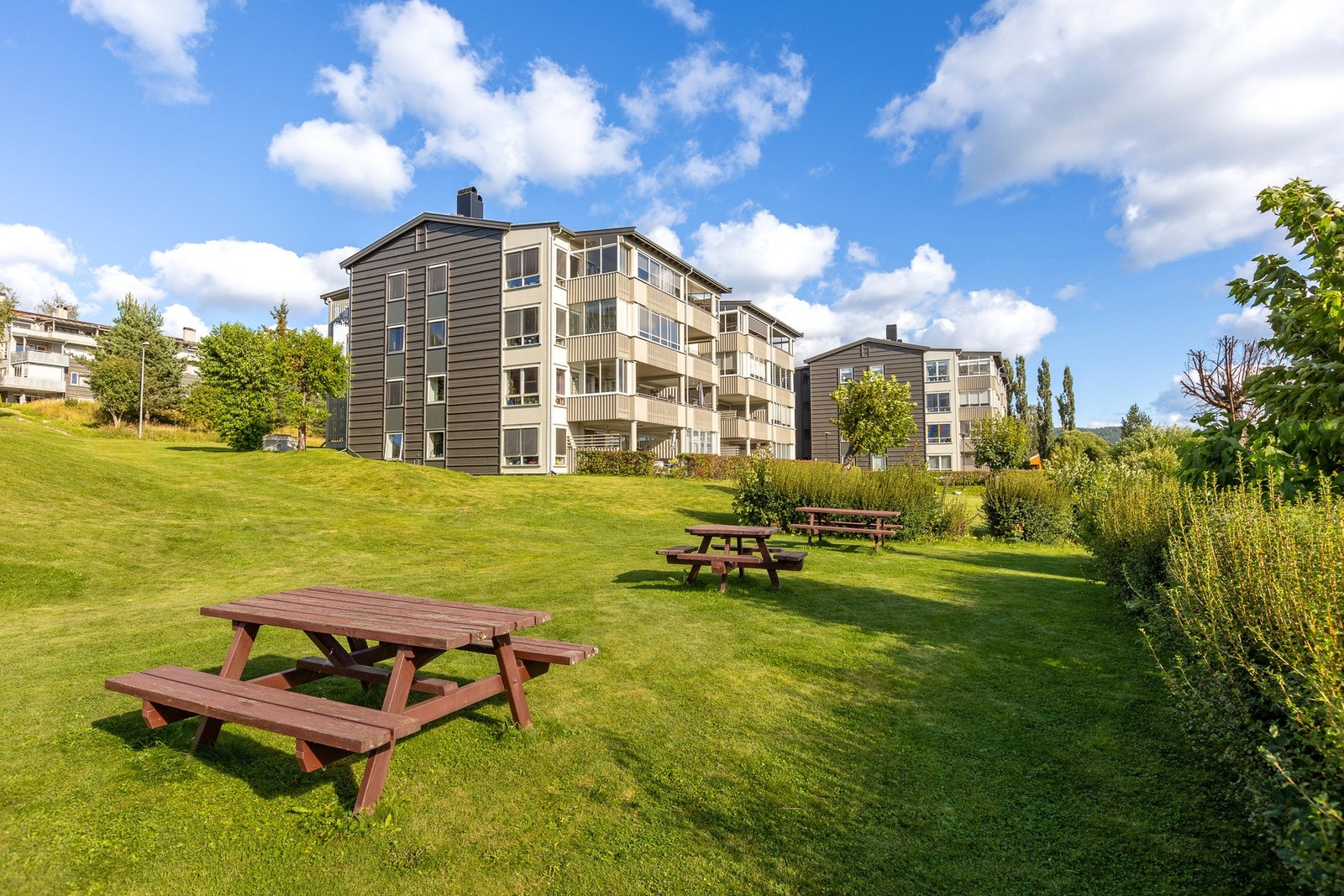 Store felles grøntområder med sittegrupper og plass til lek, grilling og sosiale sammenkomster. Galleribilde