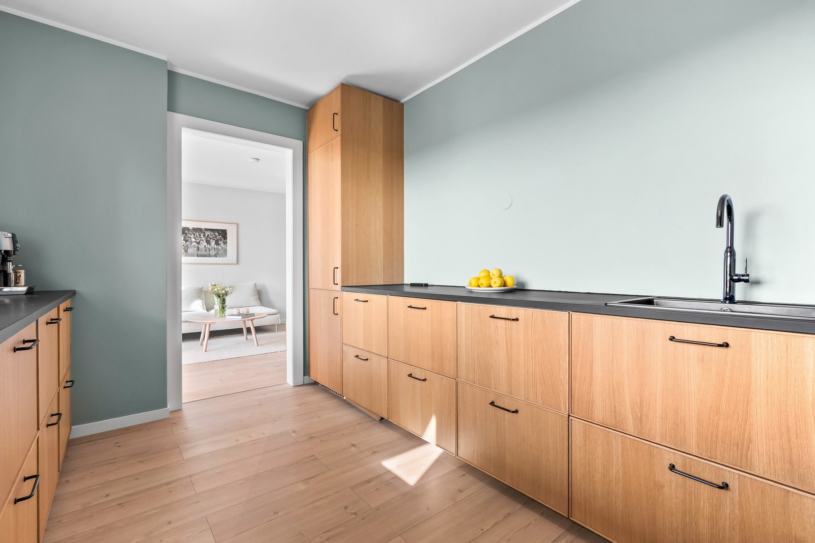 De integrerte hvitevarene består av stekeovn, induksjonstopp, oppvaskmaskin og kjøleskap/frys. Det er kullfilterventilator over kokesonen, samt komfyrvakt. Lekkasjestopper er også montert. Galleribilde