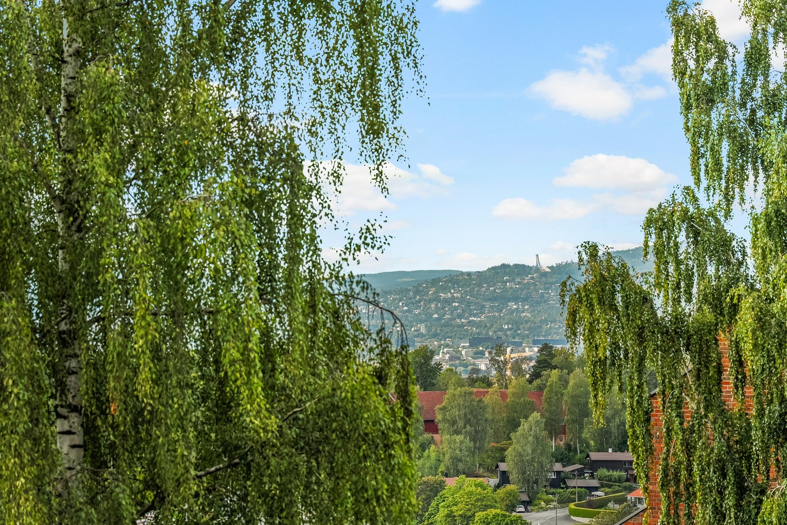 Flott utsikt mot Holmenkollen i vest. Galleribilde