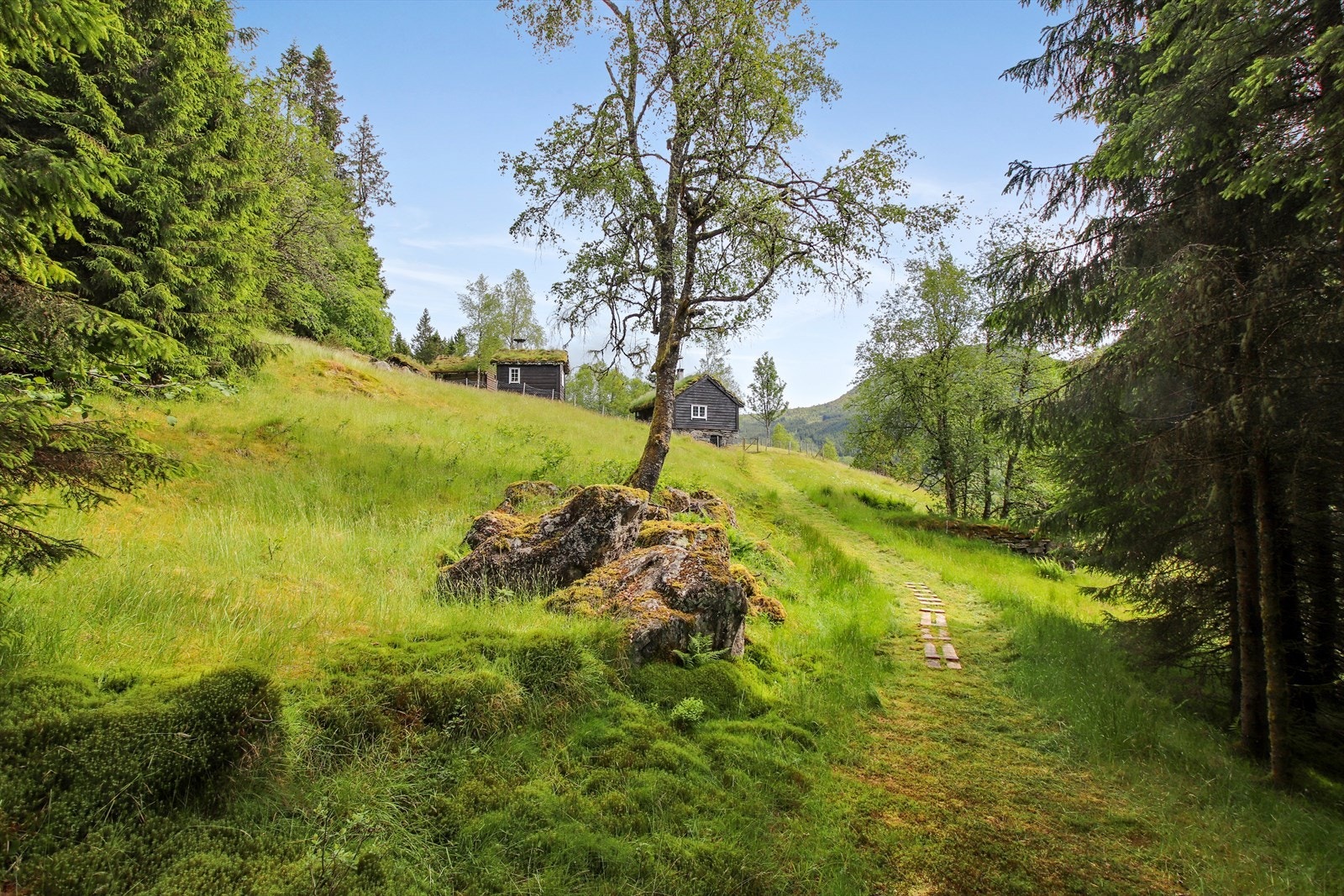 Tilkomst til fots på sti Galleribilde