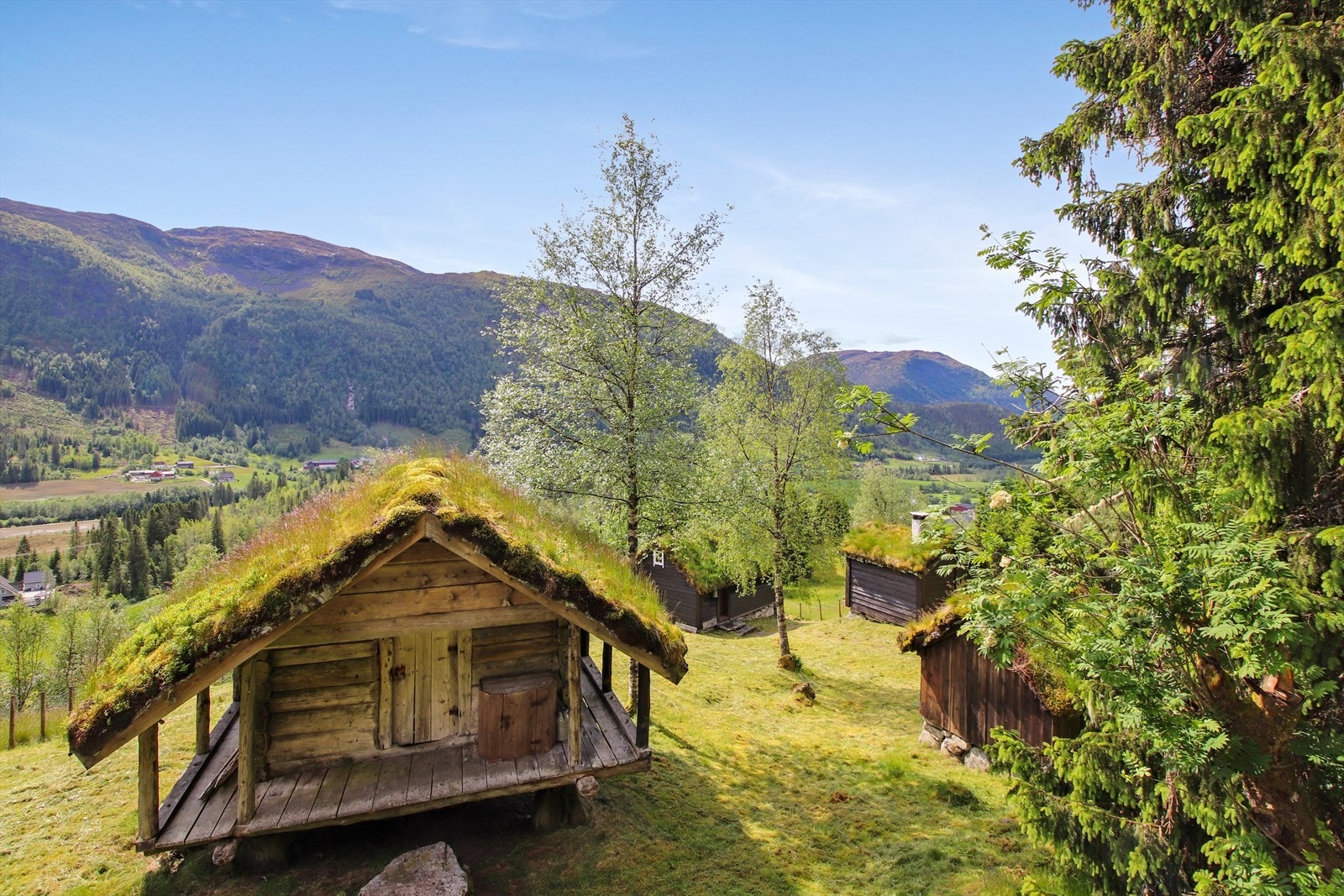 Husk påmelding til visning! Galleribilde