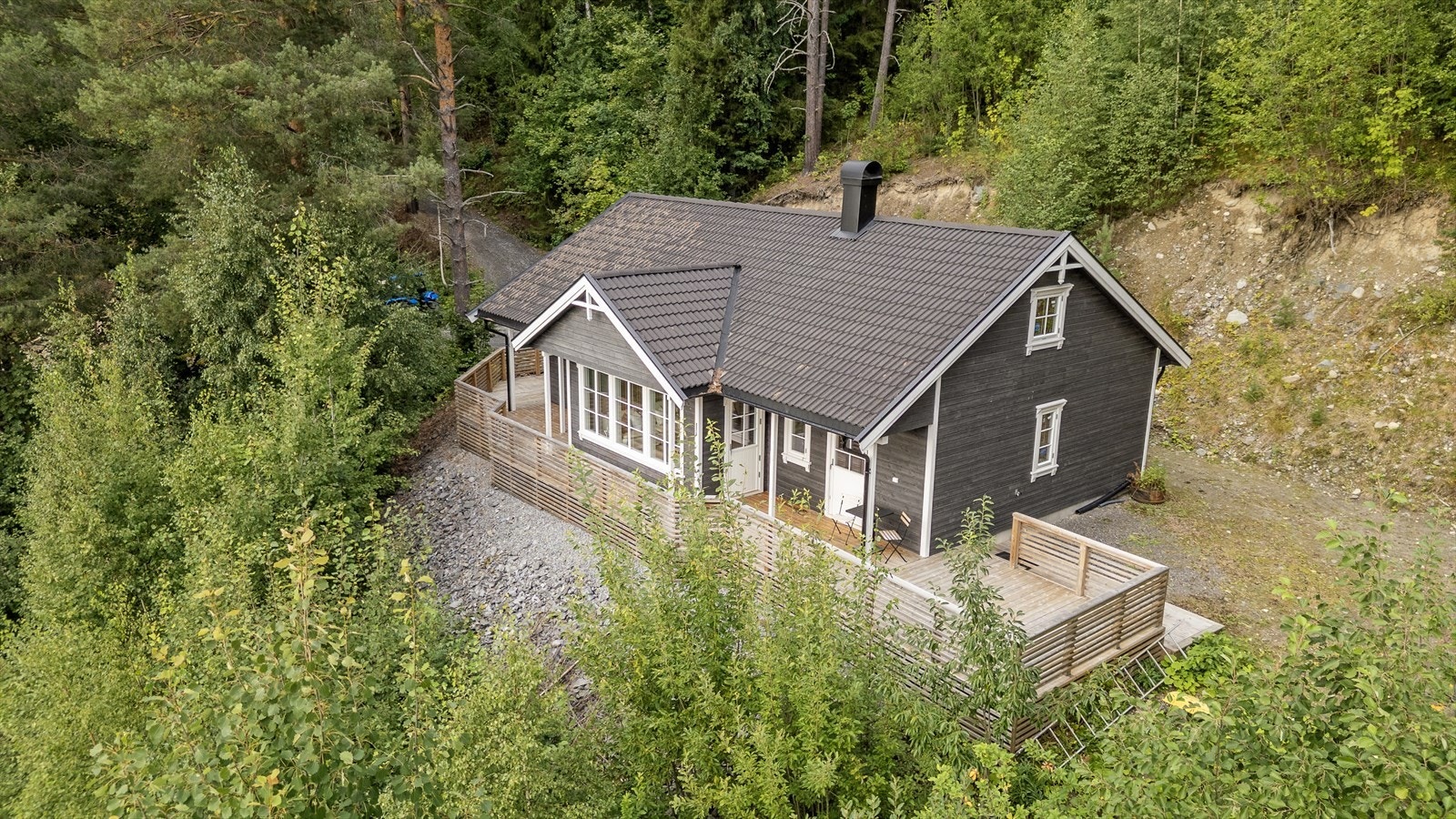 Skogsarealer inntil hytta. Galleribilde