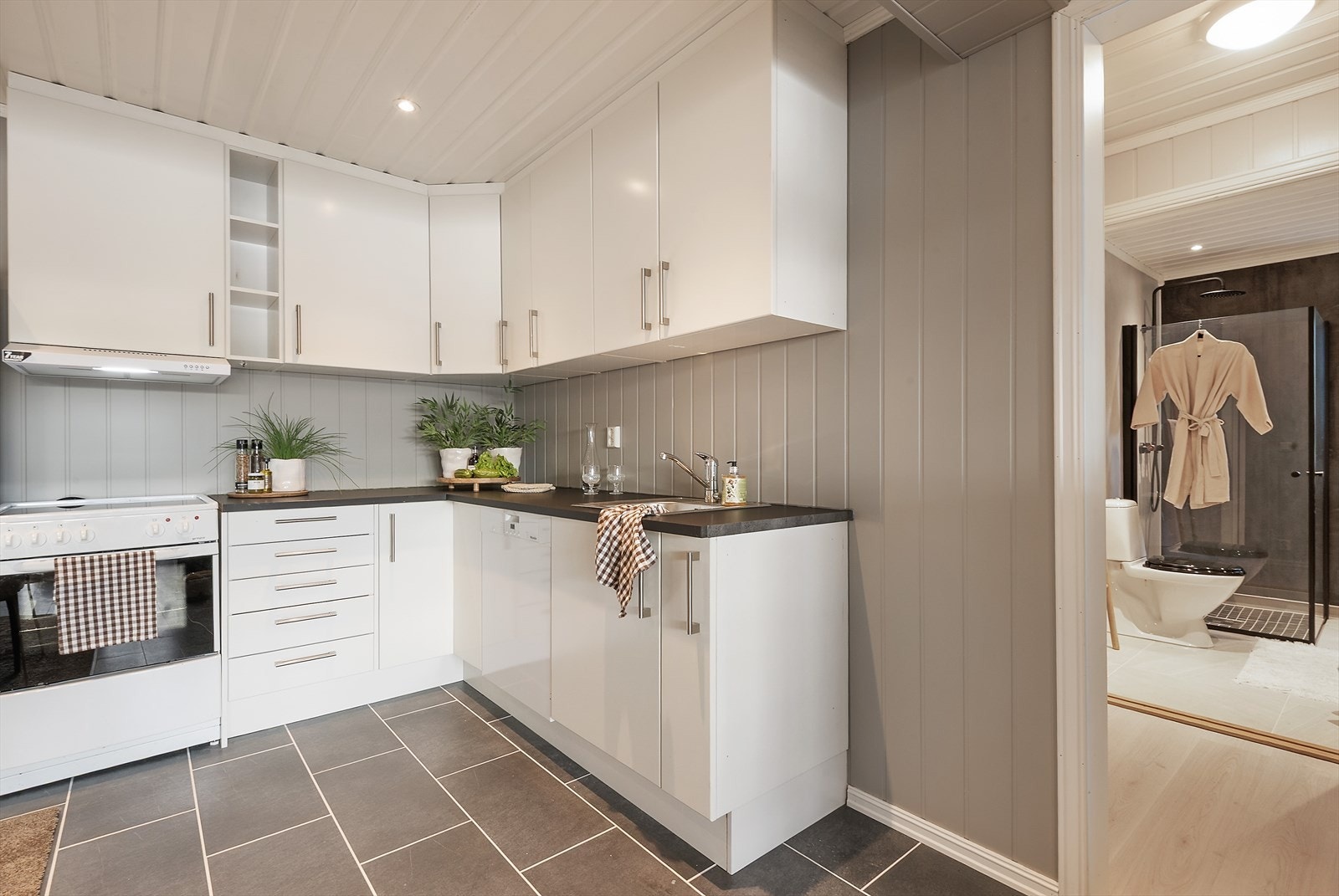 Glatte fronter. Galleribilde