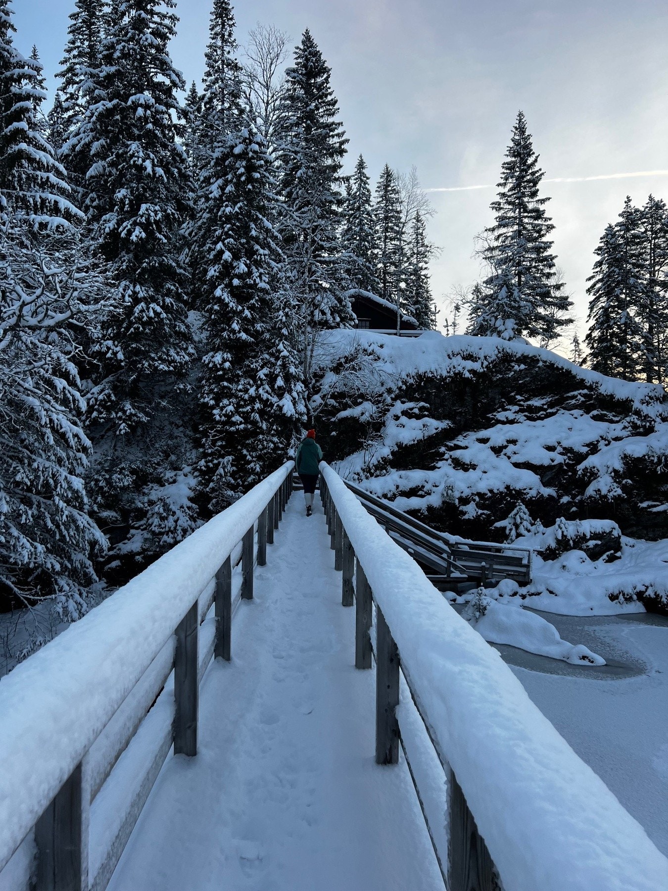 Det er mange fine merkede turstier i området. Fra hytta kan du gå til blant annet Litj-Grønningen, Steinsetvola og Årenget. Går du over demningen går det en godt merket sti til Kongshaugen seter. Alle 4 er eller har vært "Ti på topp"-poster. Galleribilde