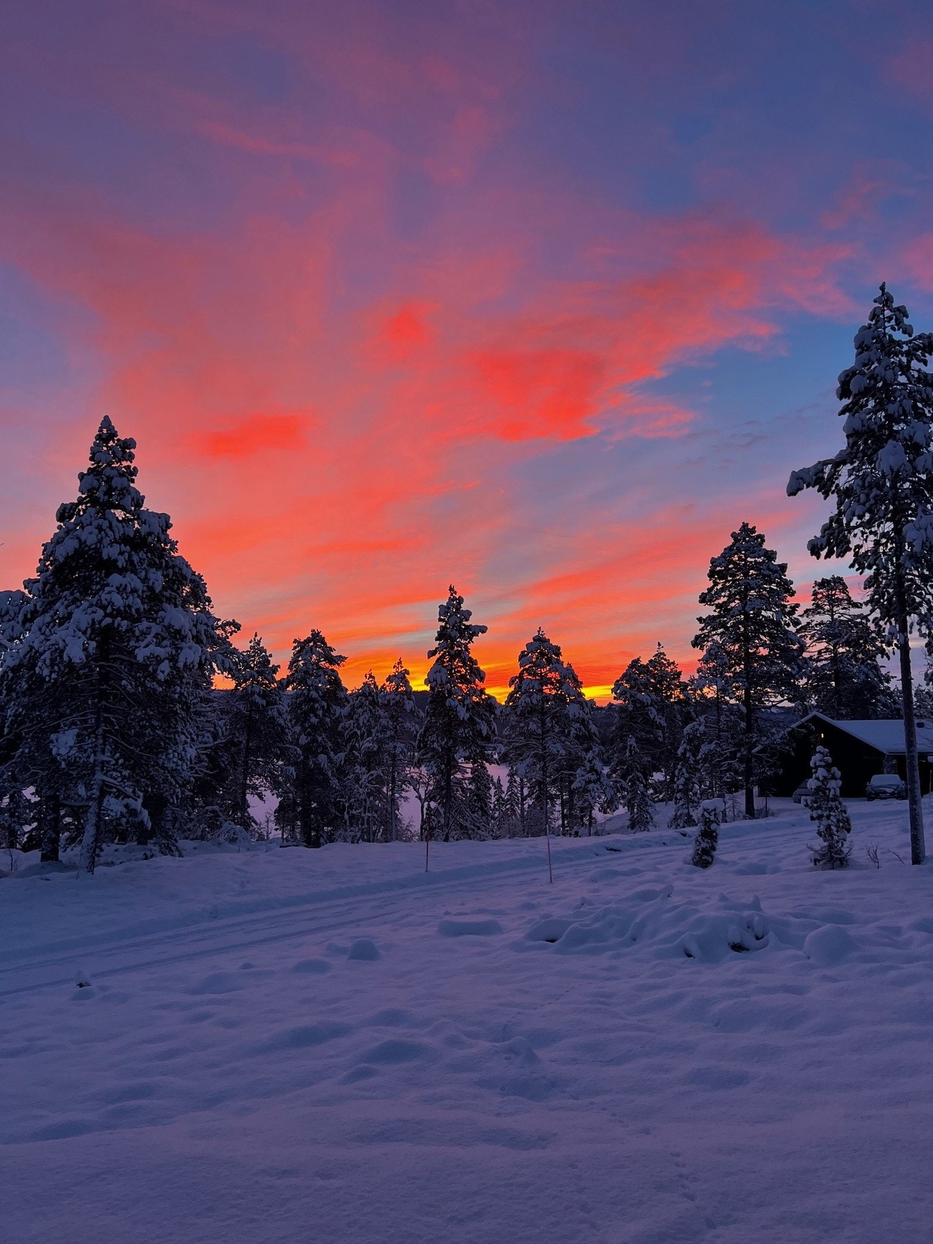 Vinterstemning. Galleribilde