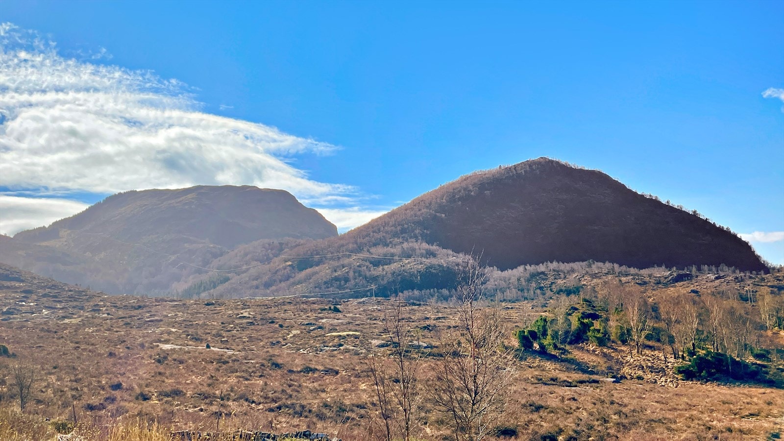 Utsikt mot sør Galleribilde
