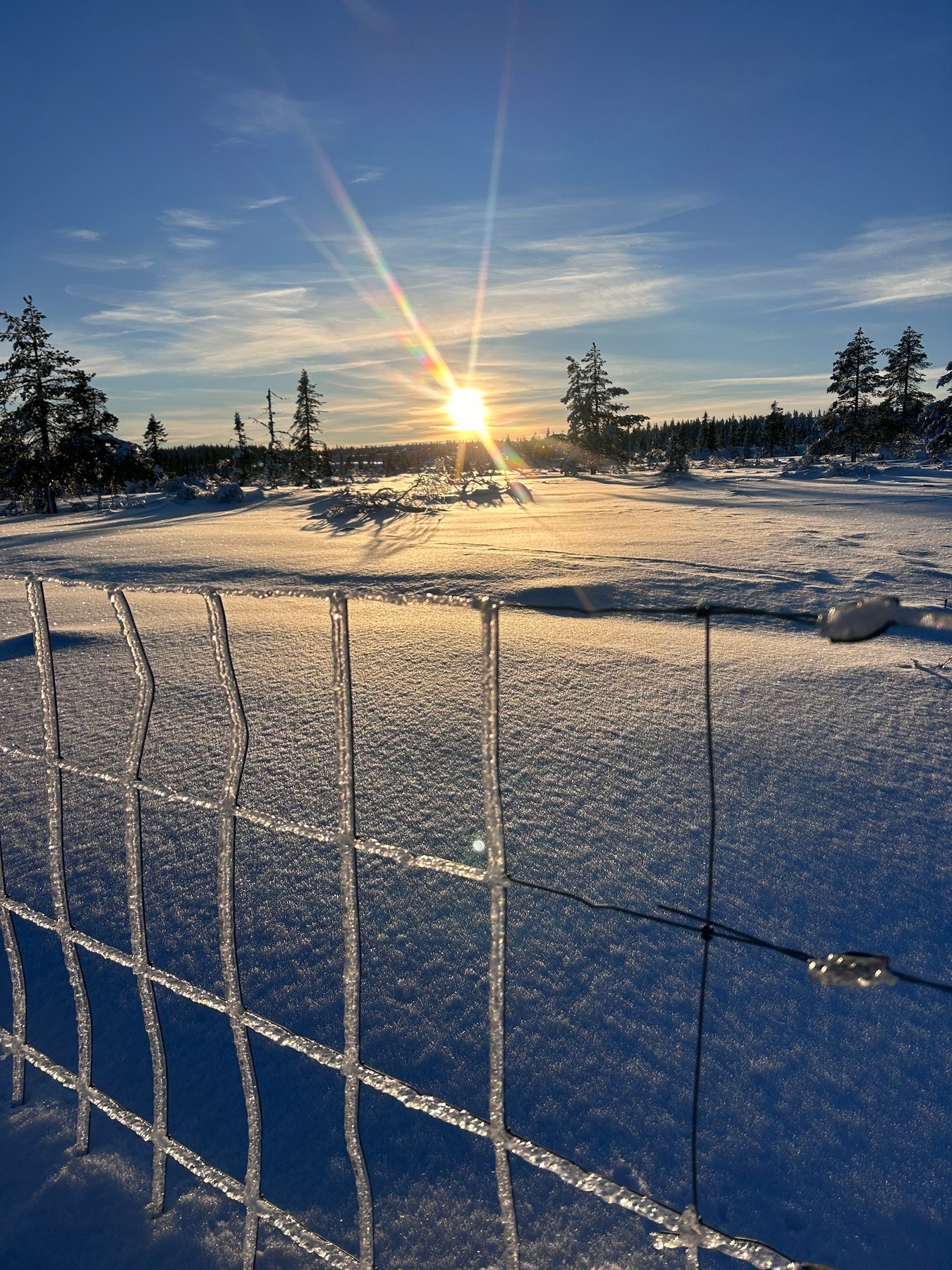 Selgers bilde fra skitur - et vinterparadis! Galleribilde