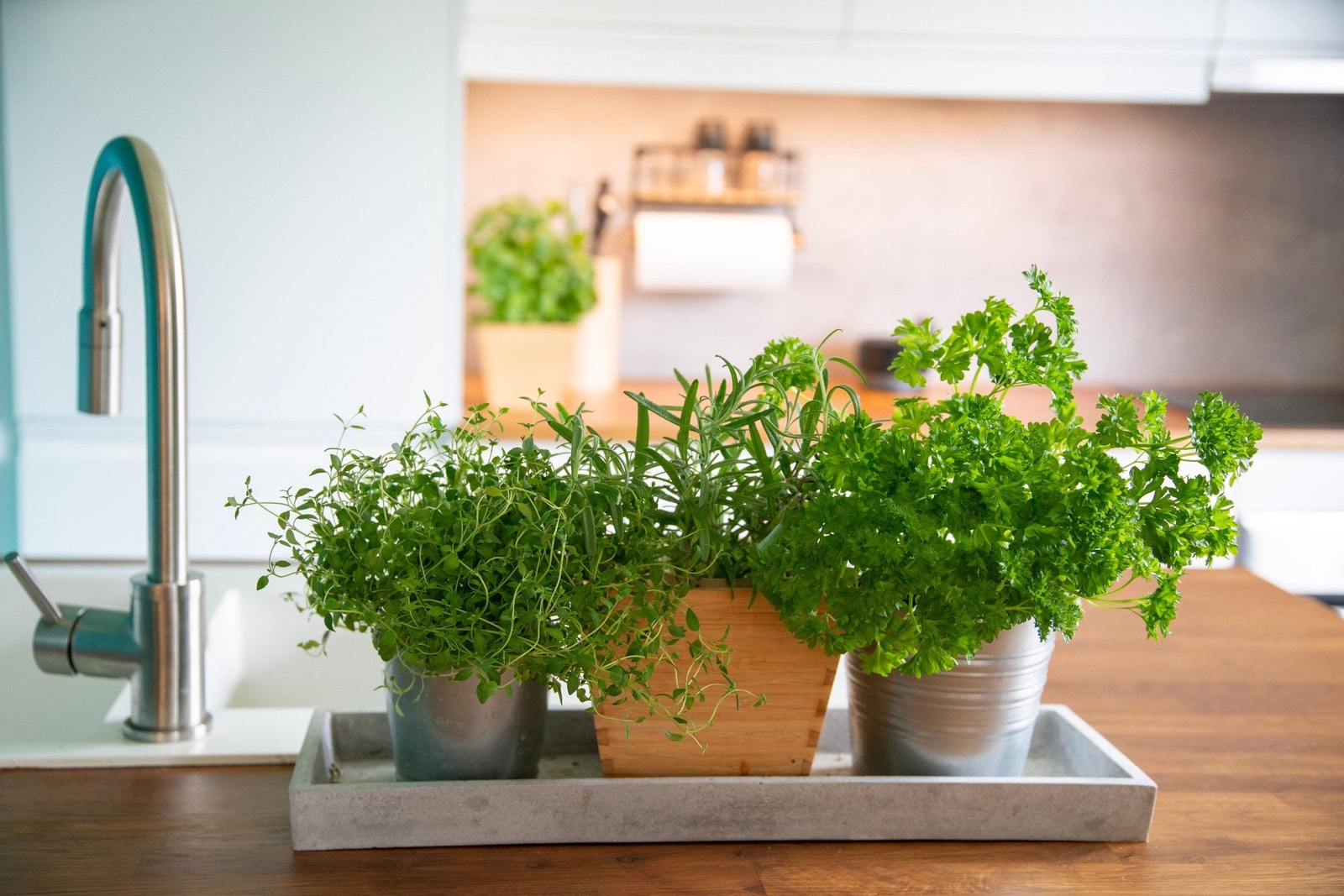 Kjøkkenøy. Galleribilde